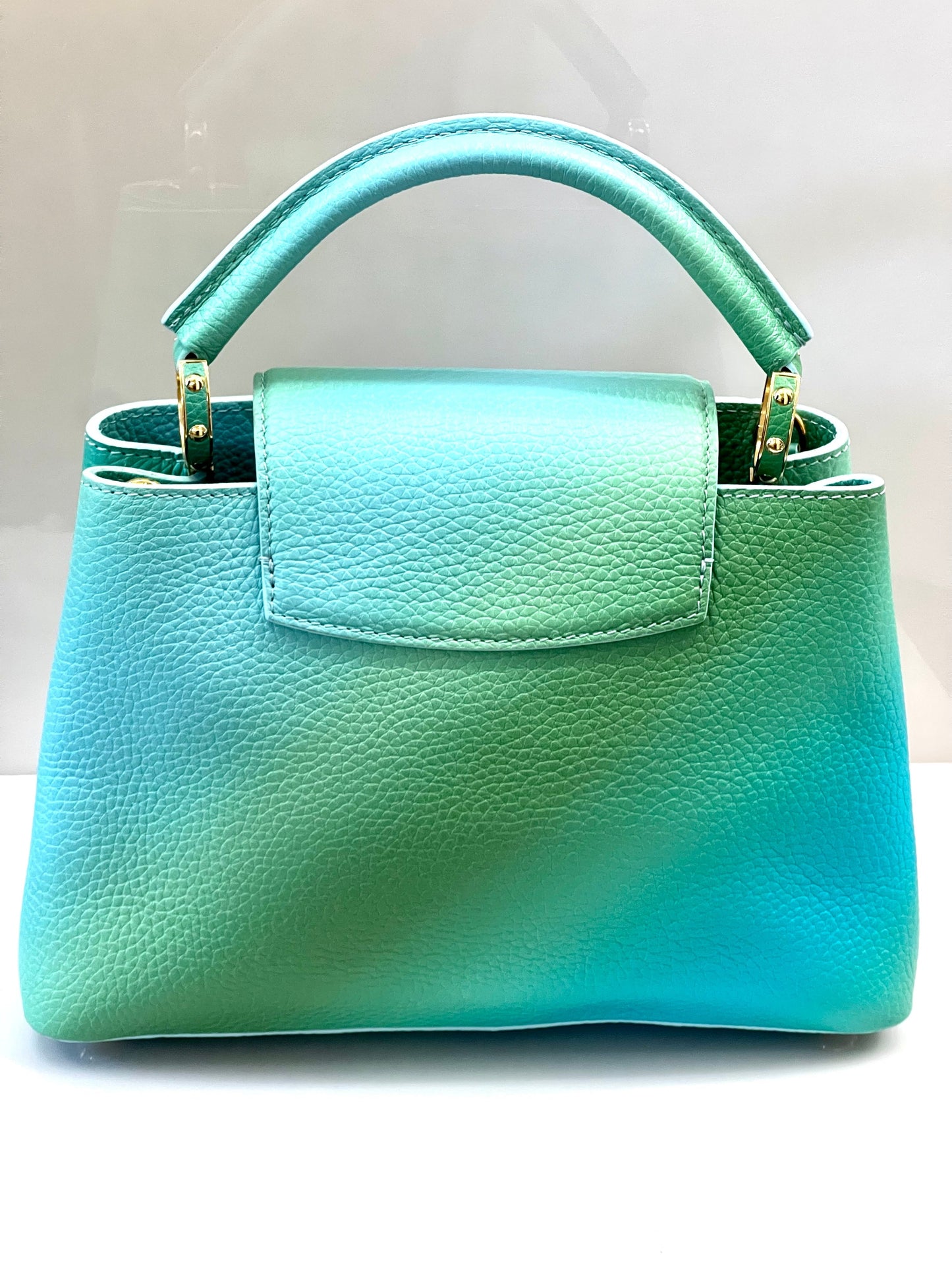 LOUIS VUITTON CAPUCINES TAURILLON LEATHER PM