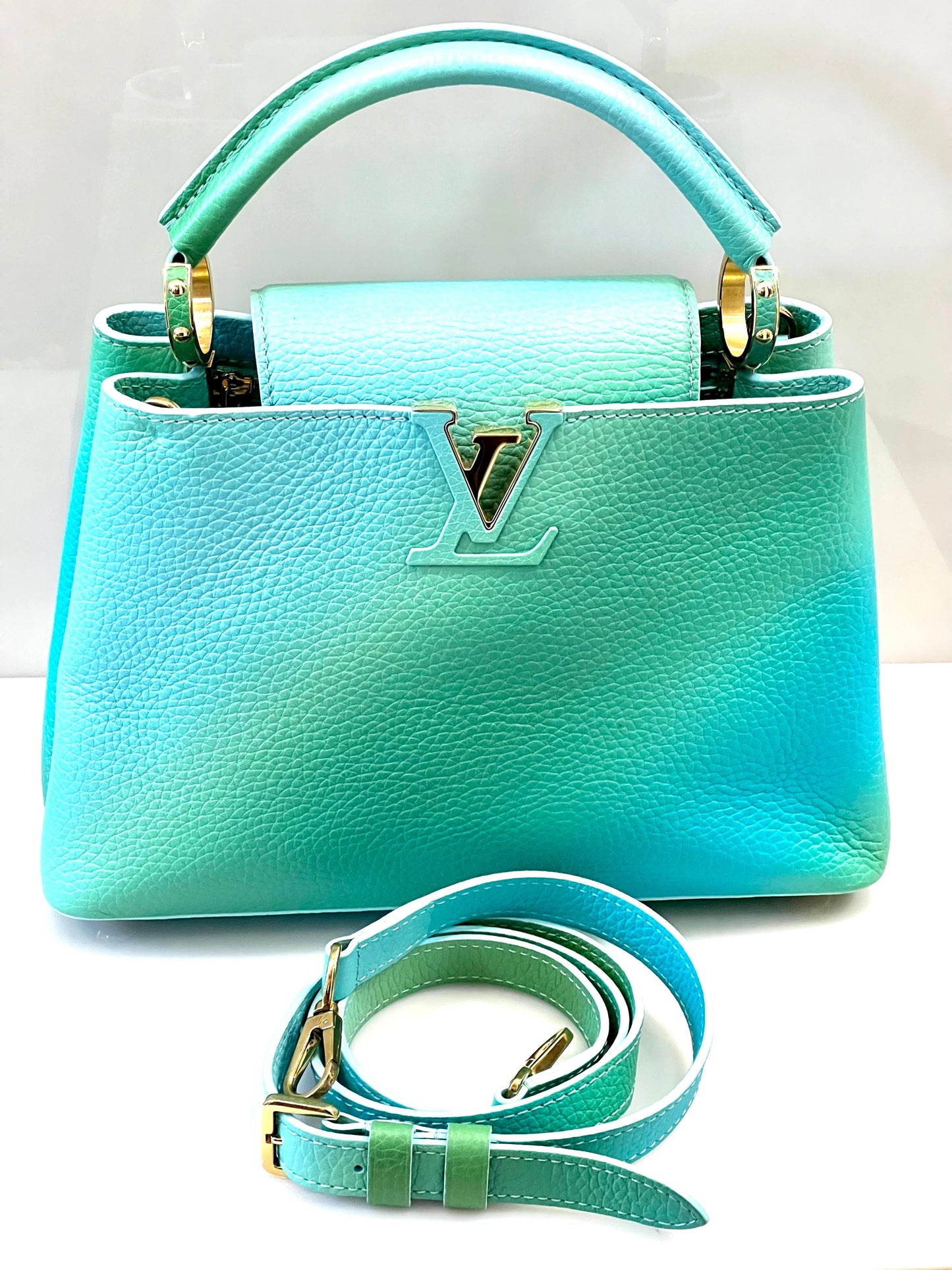 LOUIS VUITTON CAPUCINES TAURILLON LEATHER PM