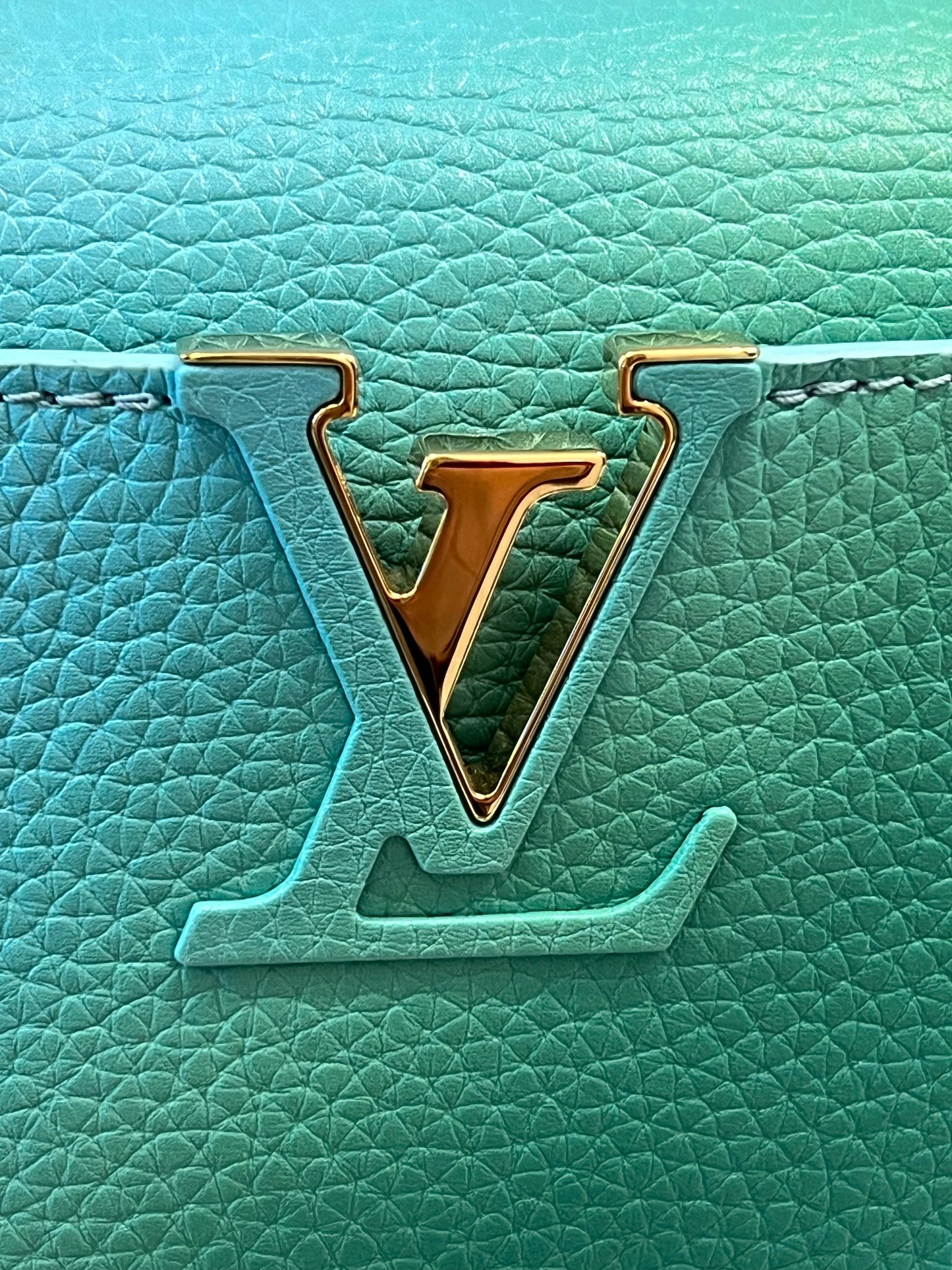 LOUIS VUITTON CAPUCINES TAURILLON LEATHER PM