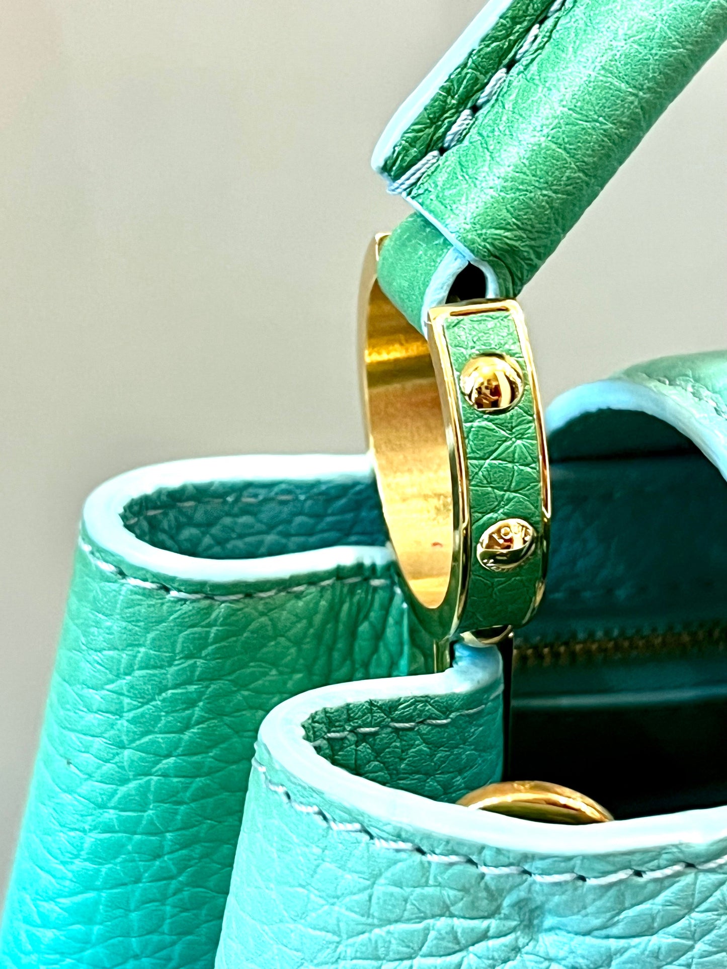 LOUIS VUITTON CAPUCINES TAURILLON LEATHER PM