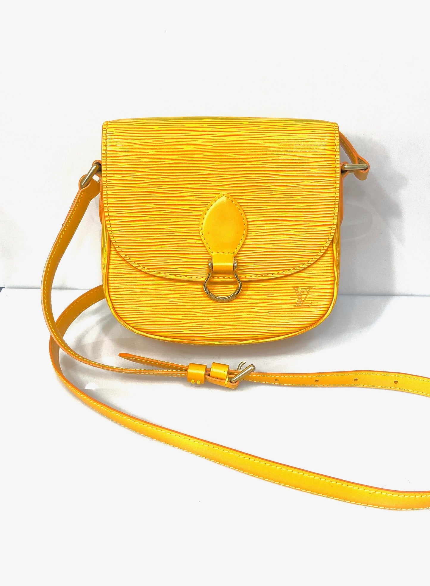 LOUIS VUITTON EPI LEATHER SAINT CLOUD PM SHOULDER BAG