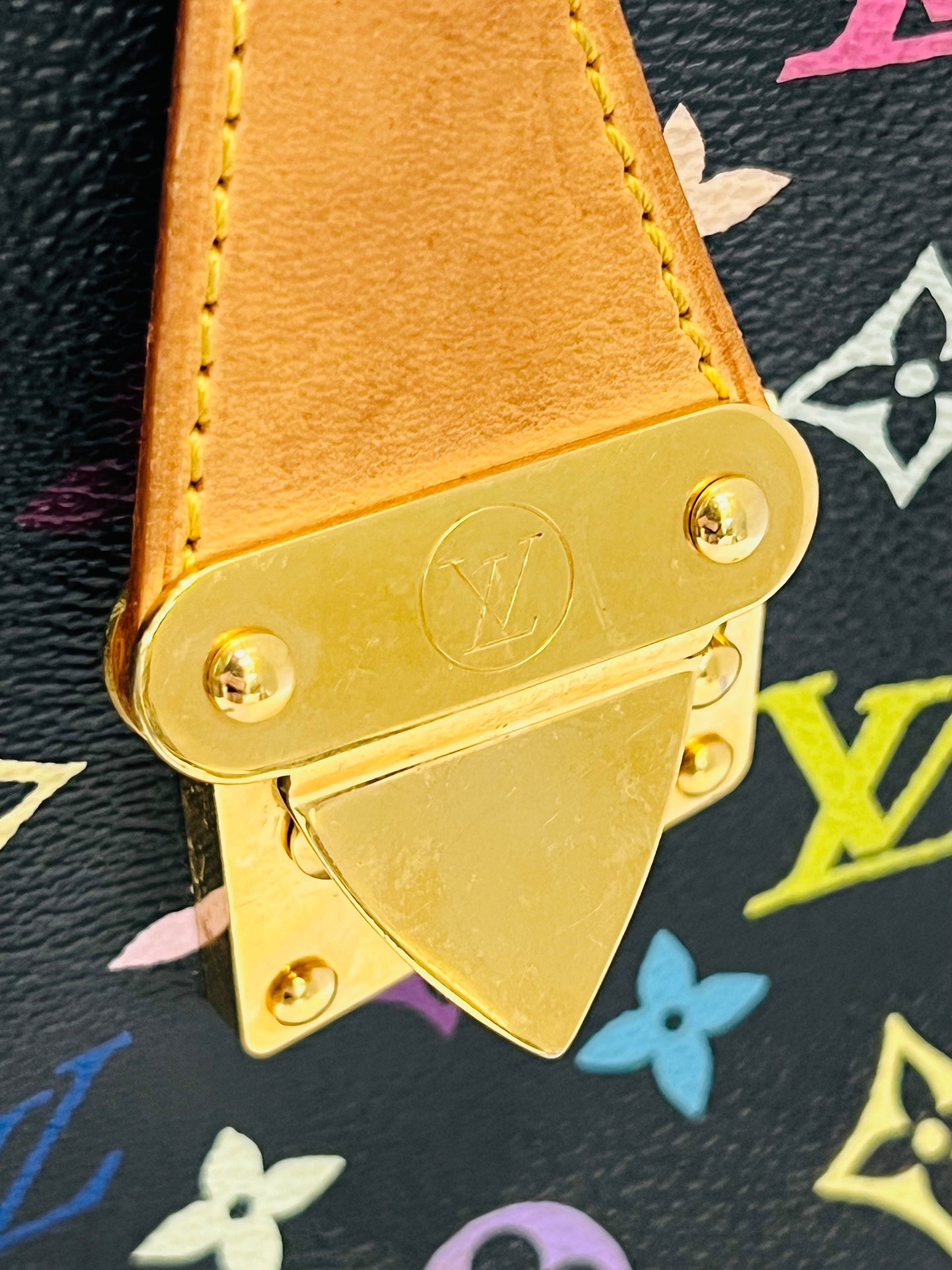 LIMITED EDITION MULTICOLOR MONOGRAM SPEEDY 30 HANDBAG