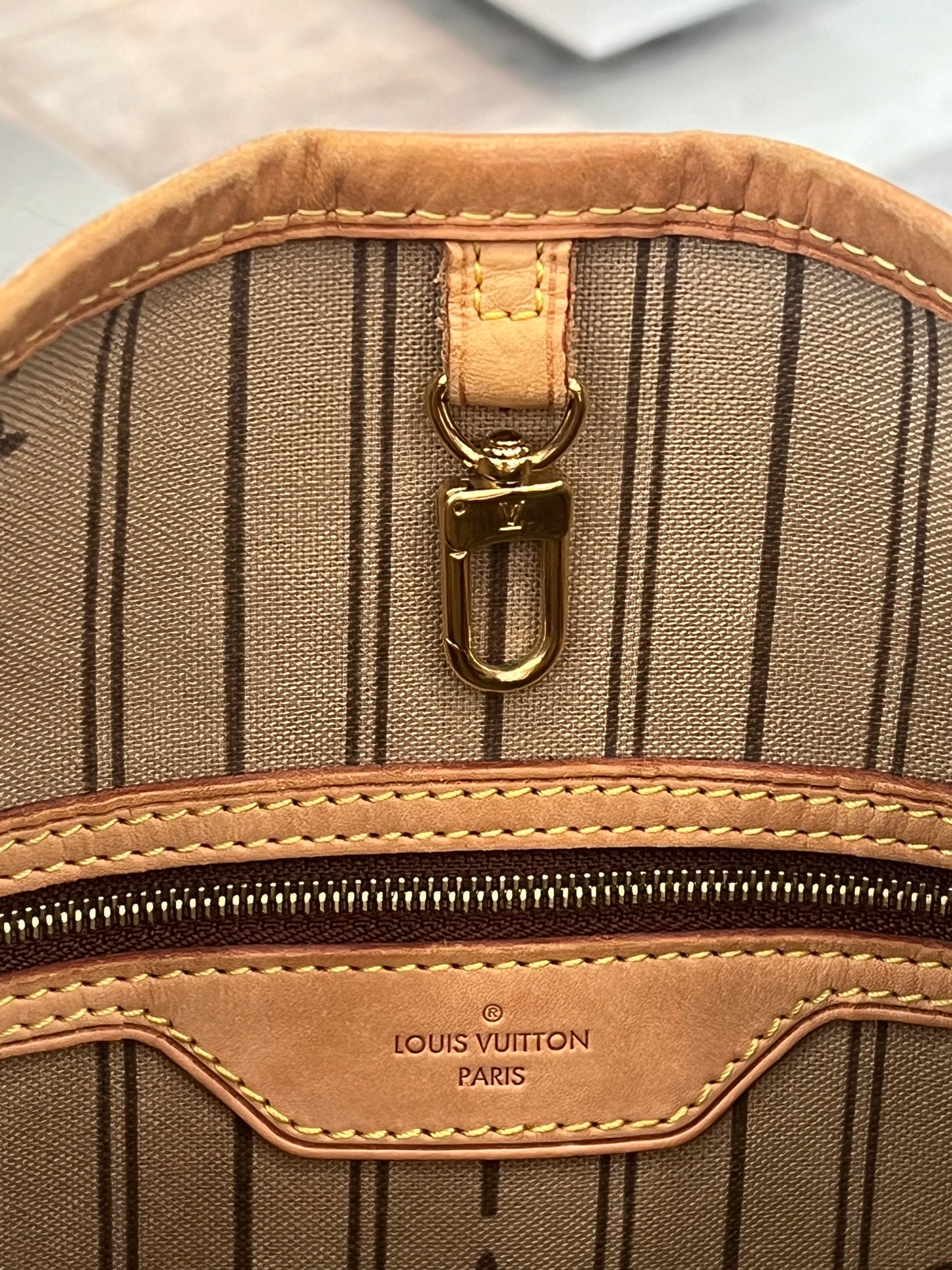 LOUIS VUITTON MONOGRAM DELIGHTFUL GM BAG