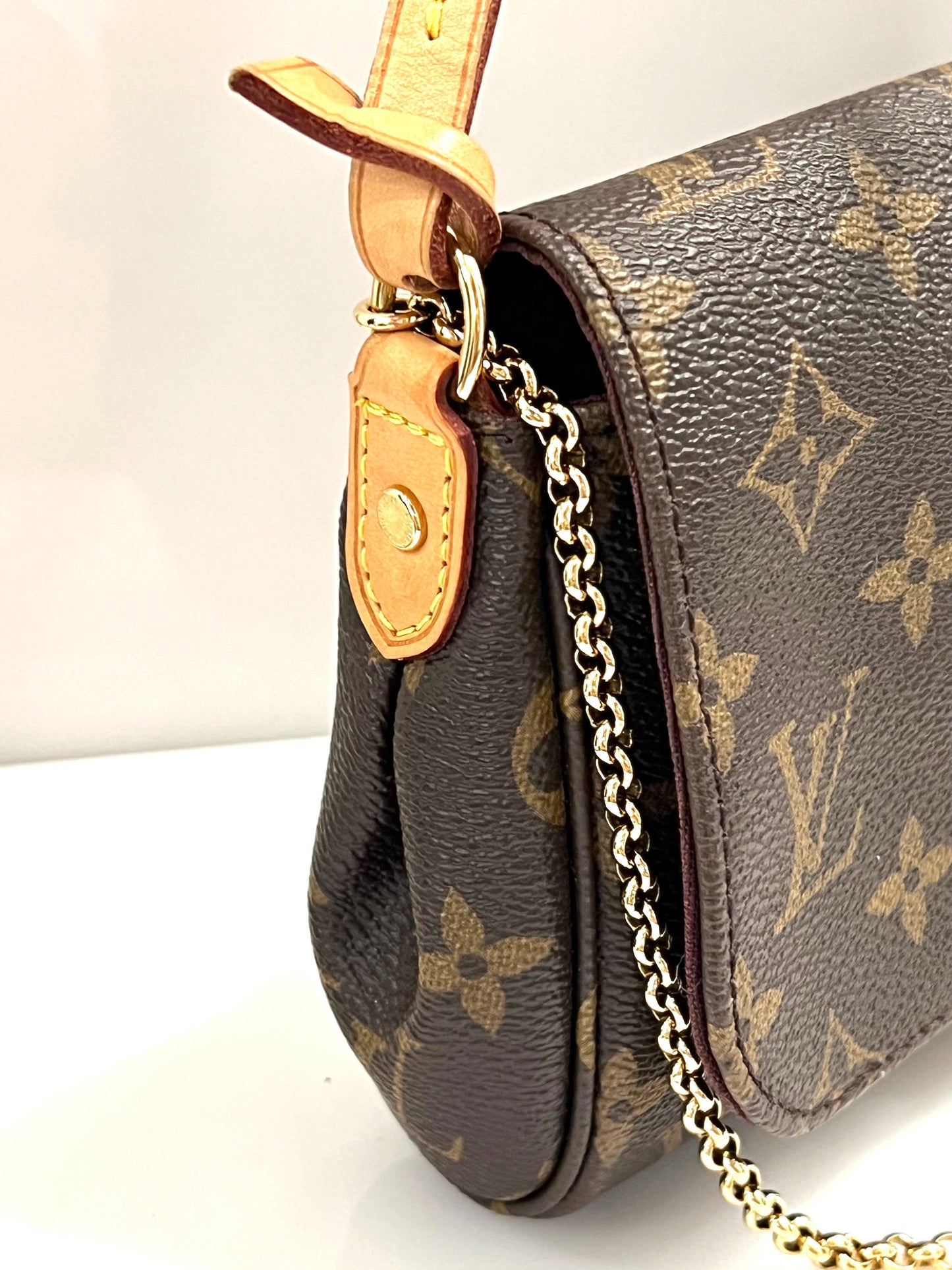 LOUIS VUITTON MONOGRAM FAVORITE PM BAG