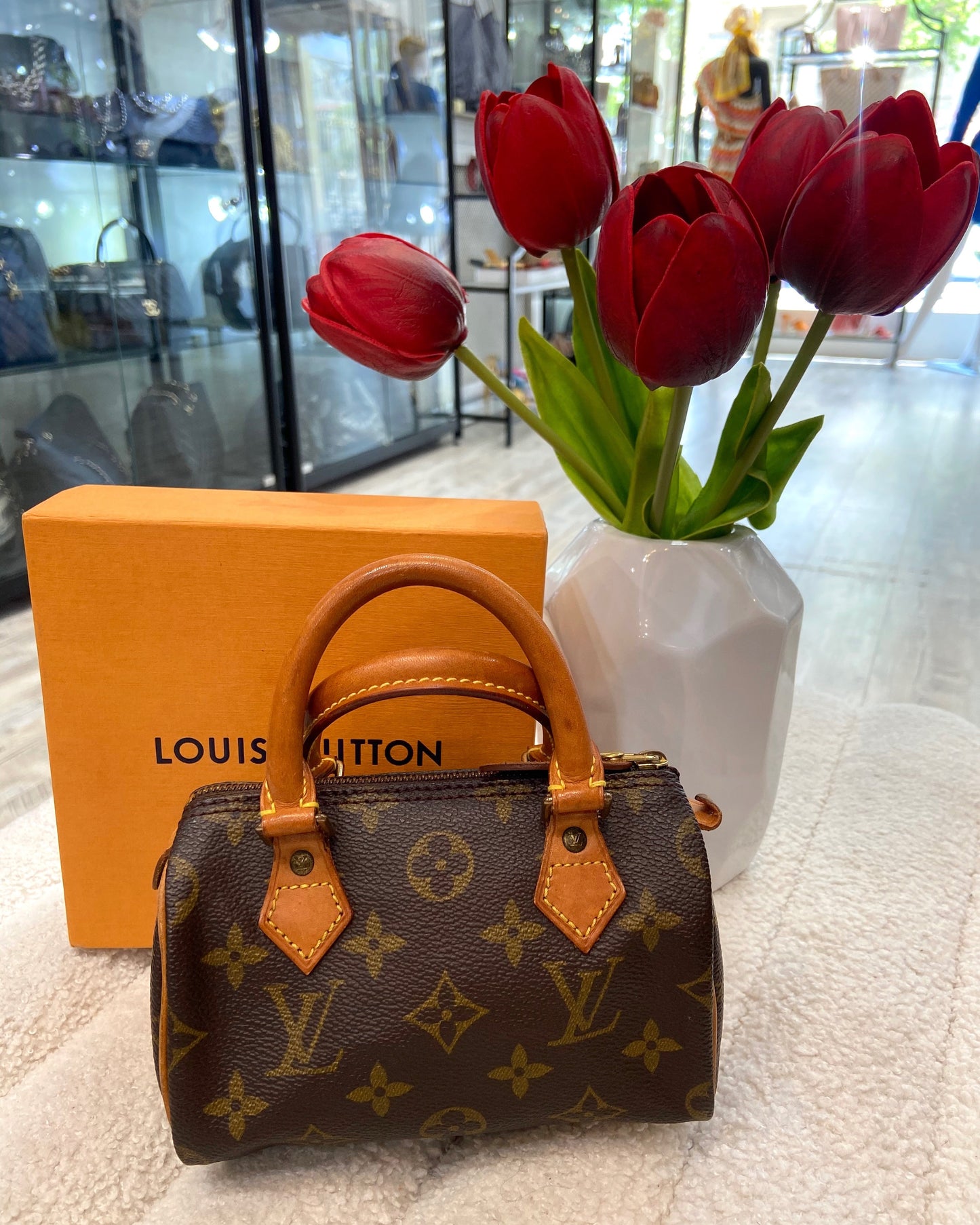 LOUIS VUITTON MONOGRAM NANO SPEEDY HANDBAG
