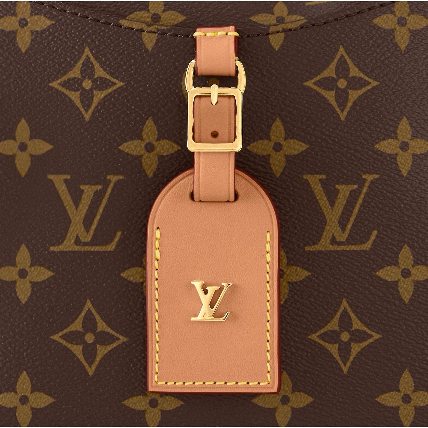 LOUIS VUITTON MONOGRAM ODÉON PM BAG