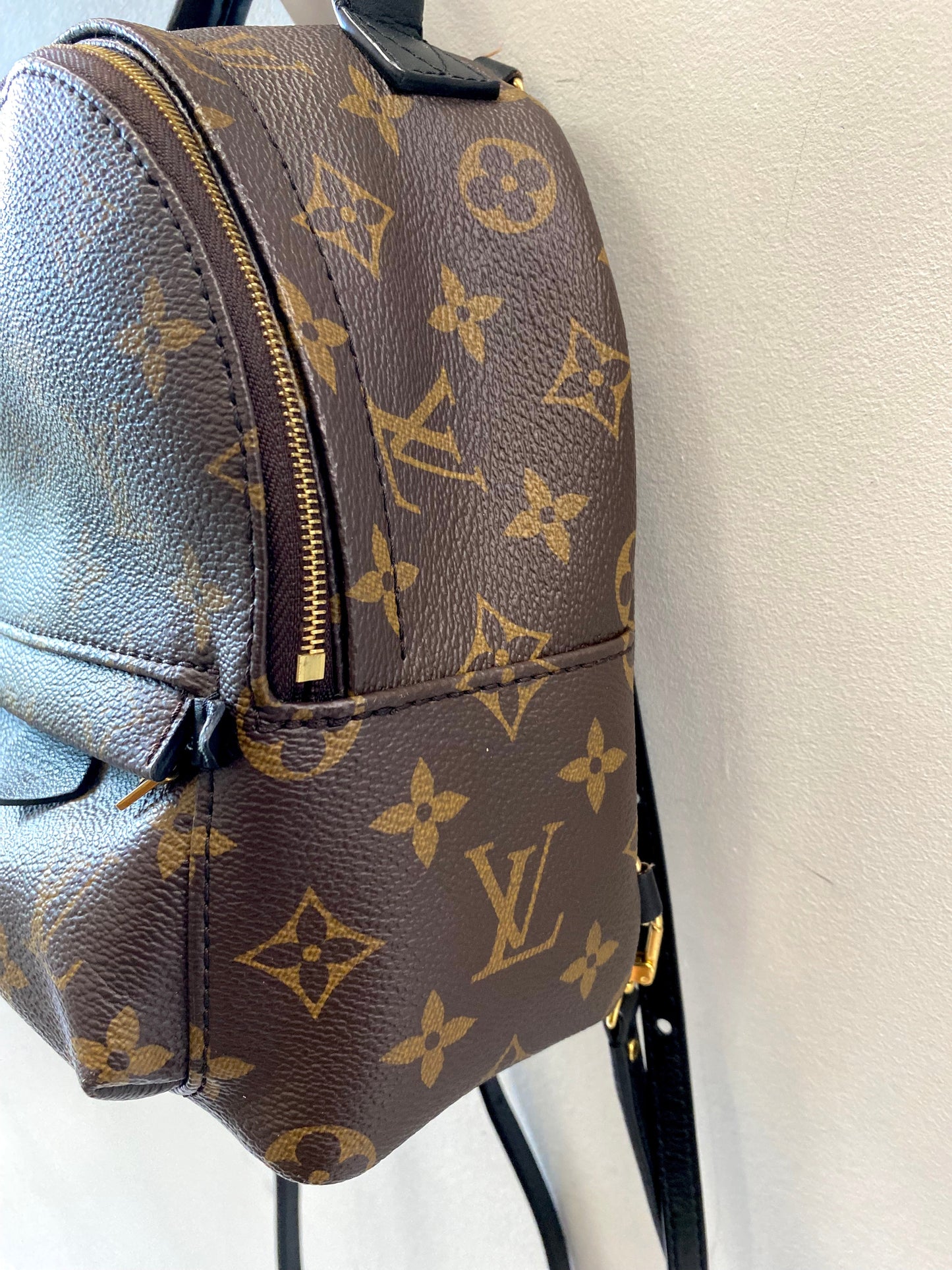 LOUIS VUITTON MONOGRAM PALM SPRINGS MINI BACKPACK