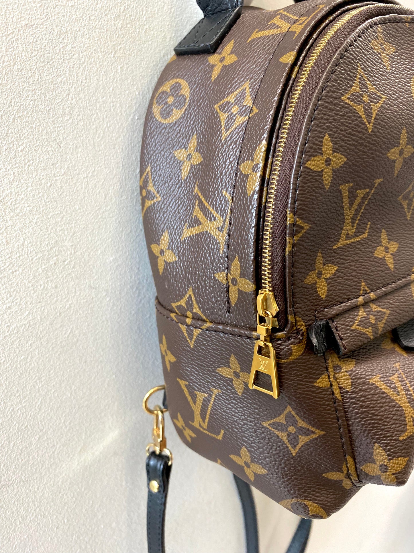 LOUIS VUITTON MONOGRAM PALM SPRINGS MINI BACKPACK