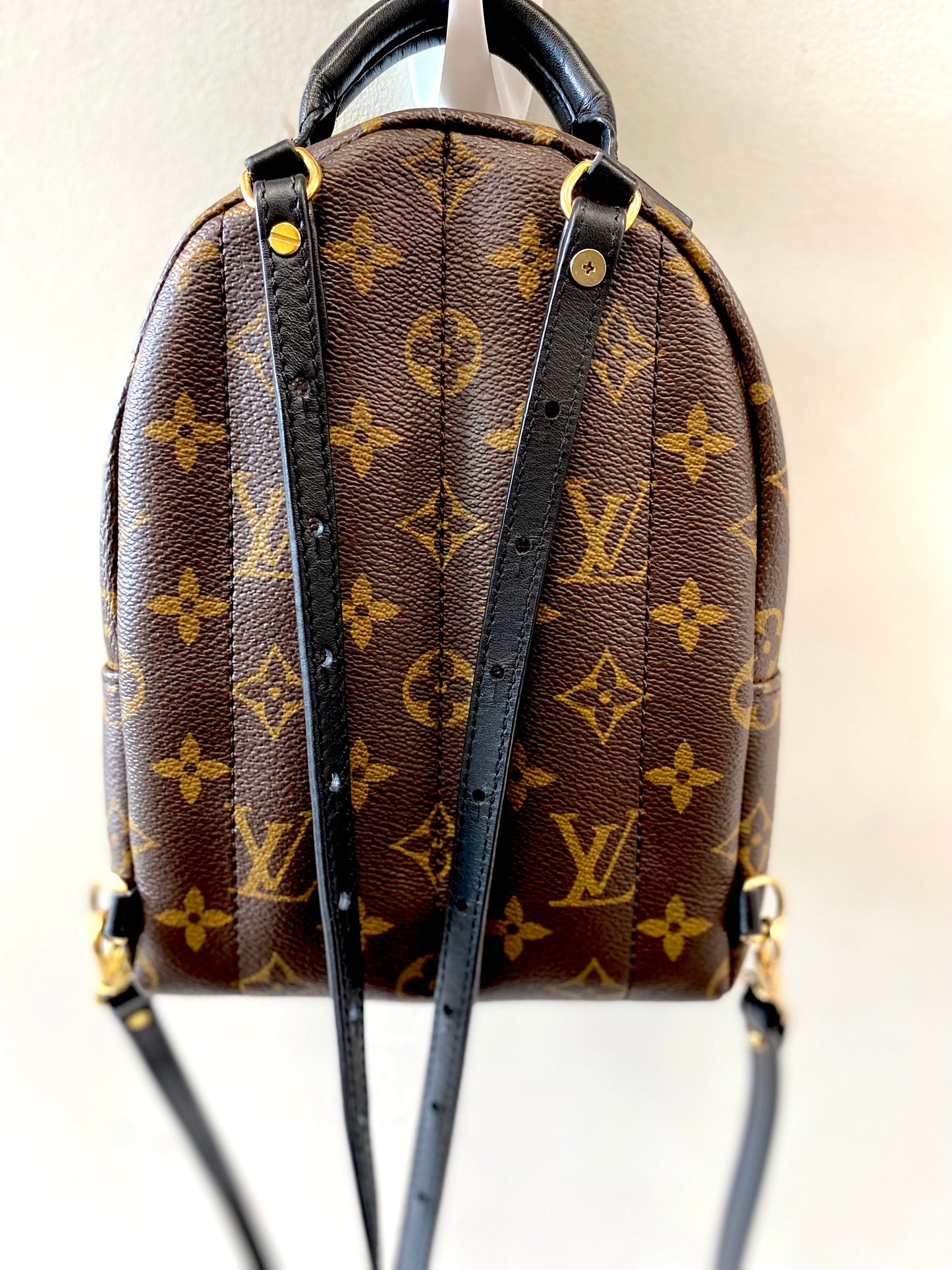 LOUIS VUITTON MONOGRAM PALM SPRINGS MINI BACKPACK