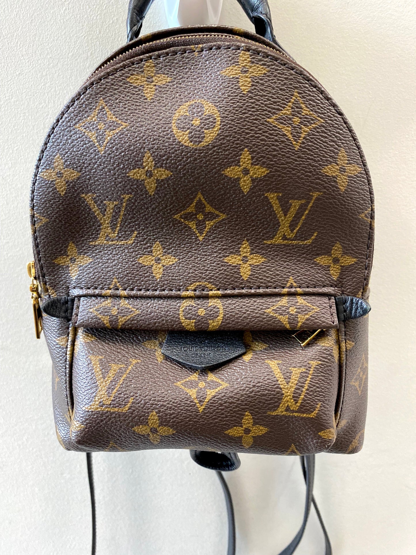 LOUIS VUITTON MONOGRAM PALM SPRINGS MINI BACKPACK