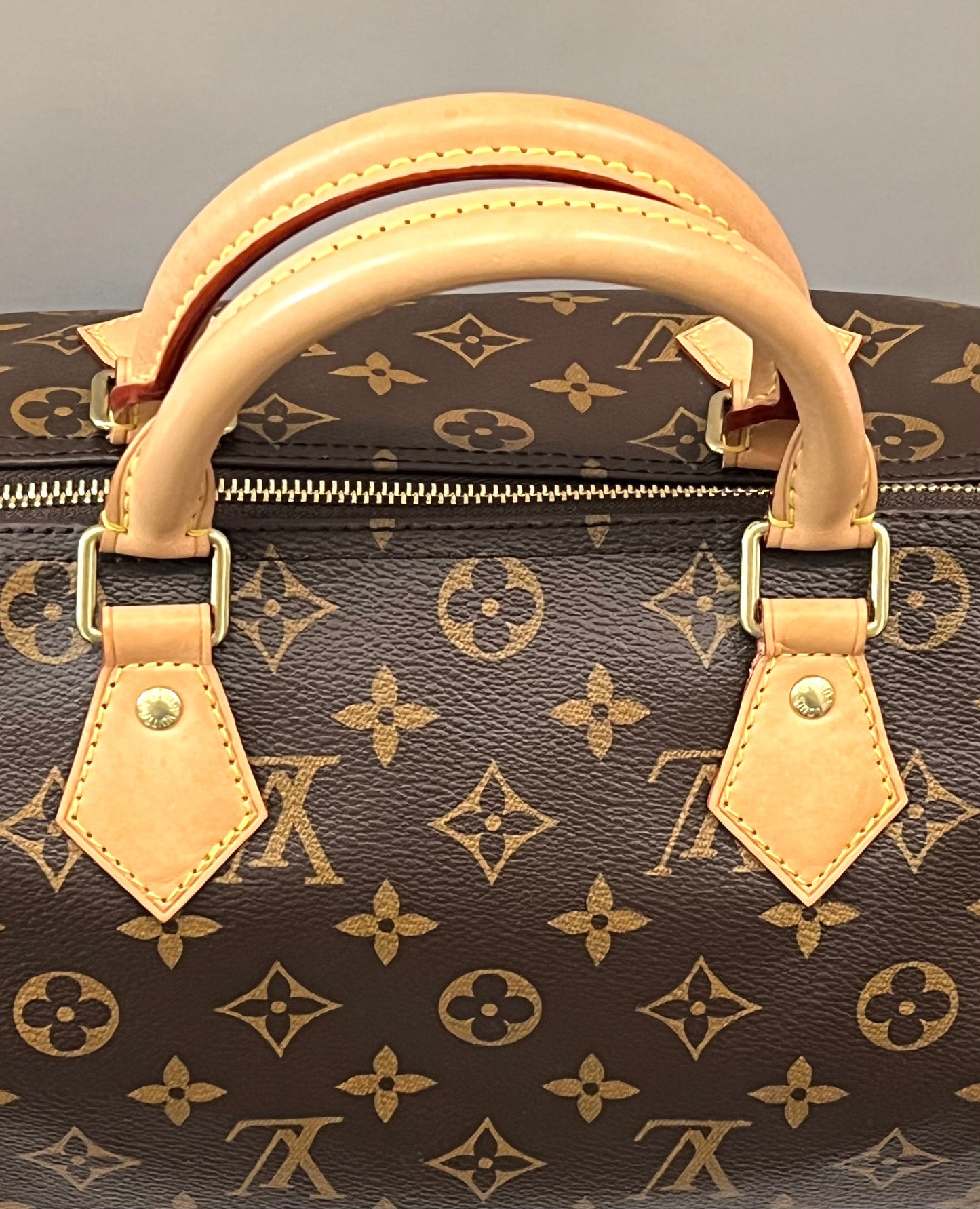 LOUIS VUITTON MONOGRAM SPEEDY 30 HANDBAG