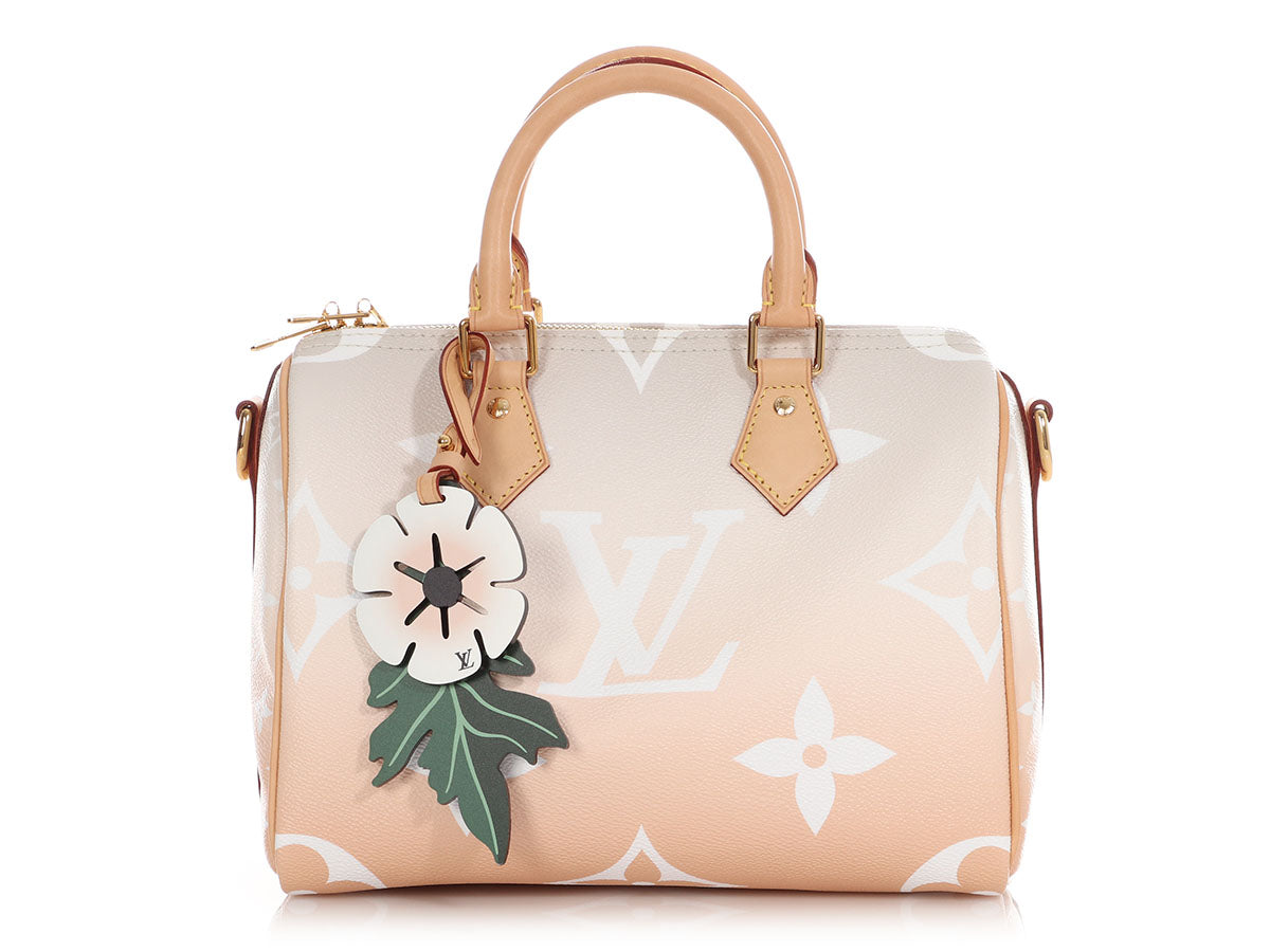 Louis Vuitton Monogram Giant Brume and Mist By The Pool Speedy BandouliÃ¨re 25