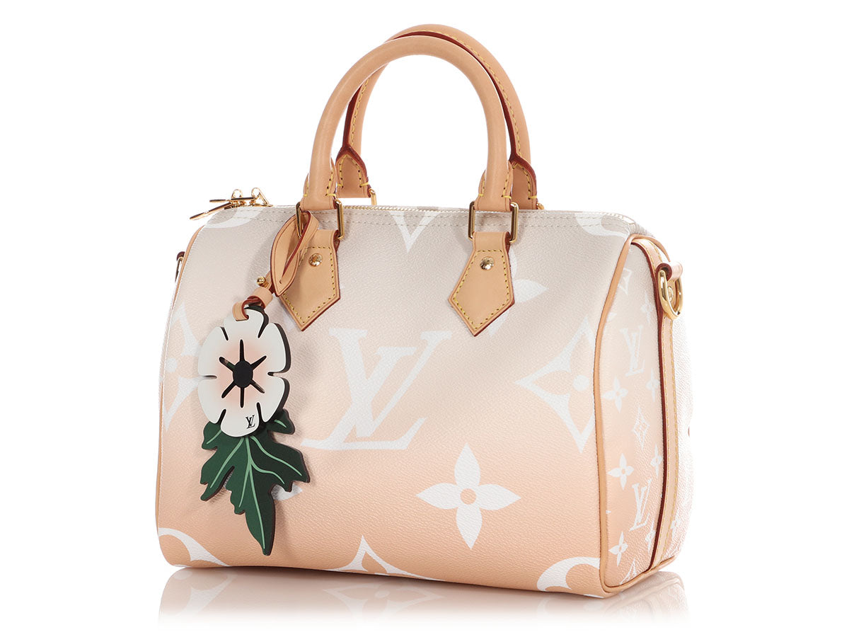 Louis Vuitton Monogram Giant Brume and Mist By The Pool Speedy BandouliÃ¨re 25