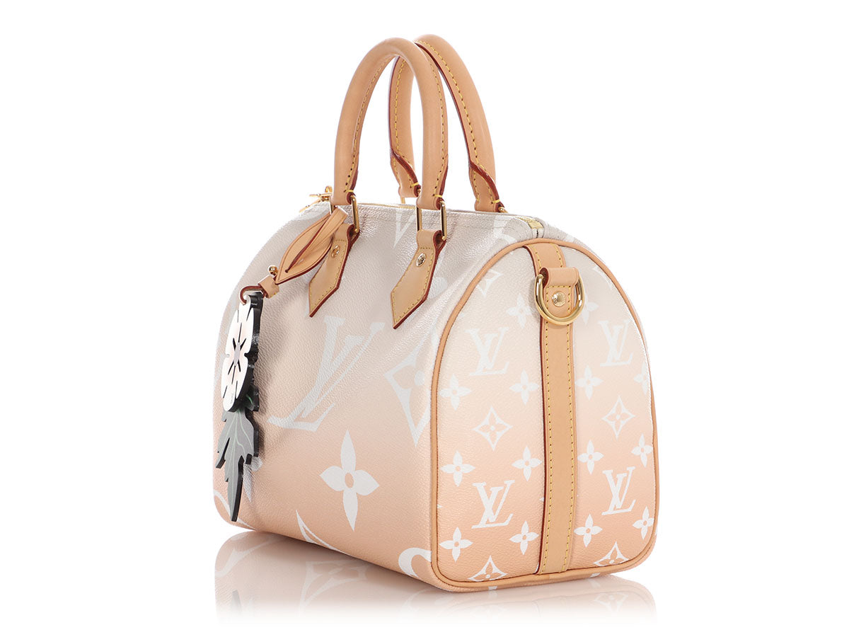 Louis Vuitton Monogram Giant Brume and Mist By The Pool Speedy BandouliÃ¨re 25