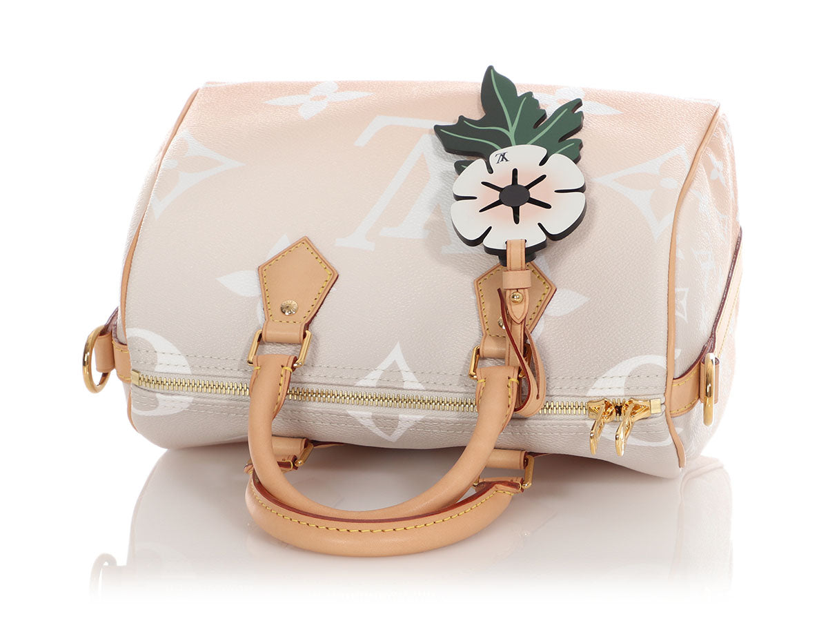 Louis Vuitton Monogram Giant Brume and Mist By The Pool Speedy BandouliÃ¨re 25