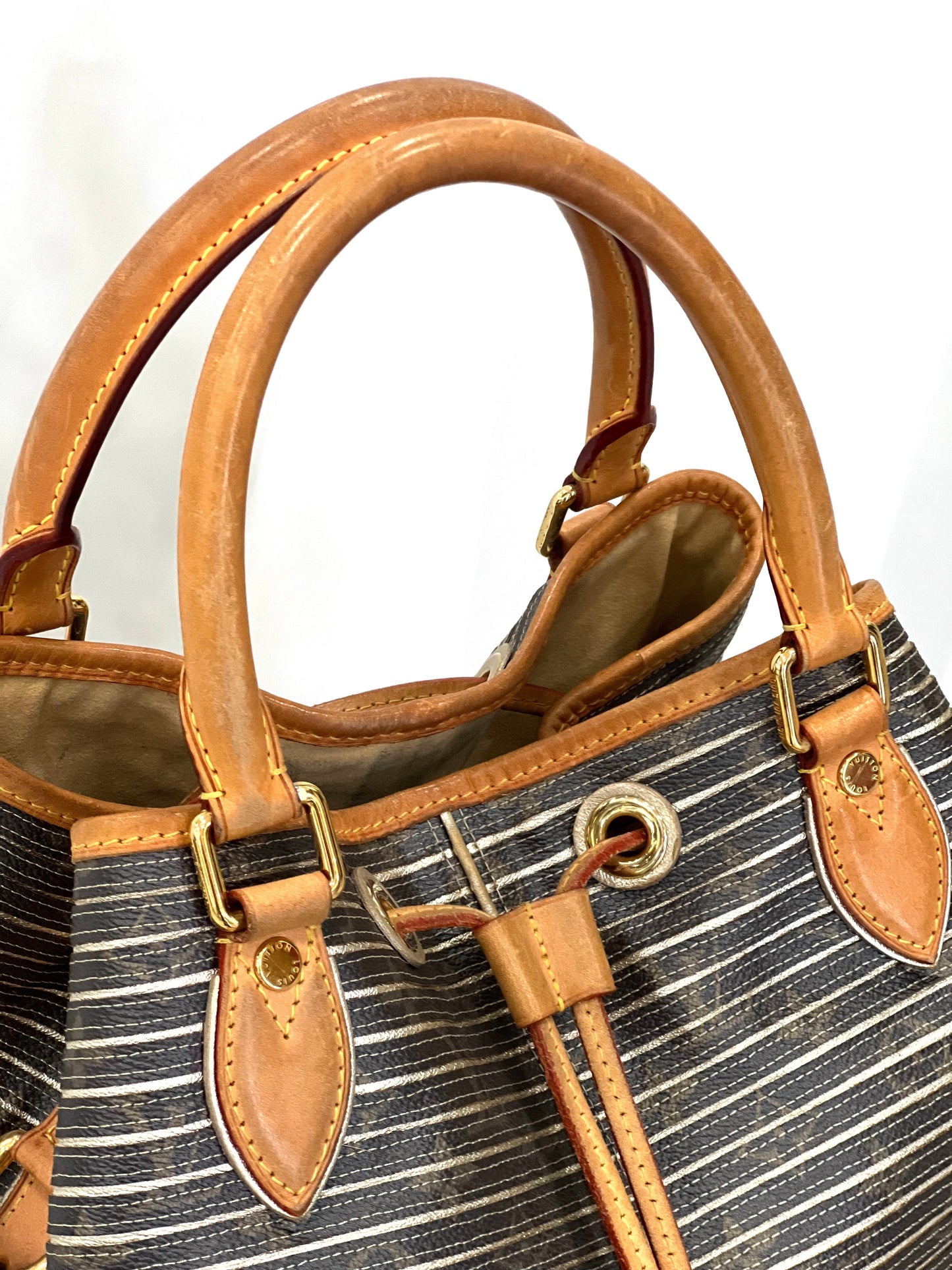 LOUIS VUITTON ARGENT MONOGRAM CANVAS-LEATHER LIMITED EDITION EDEN NEO BAG