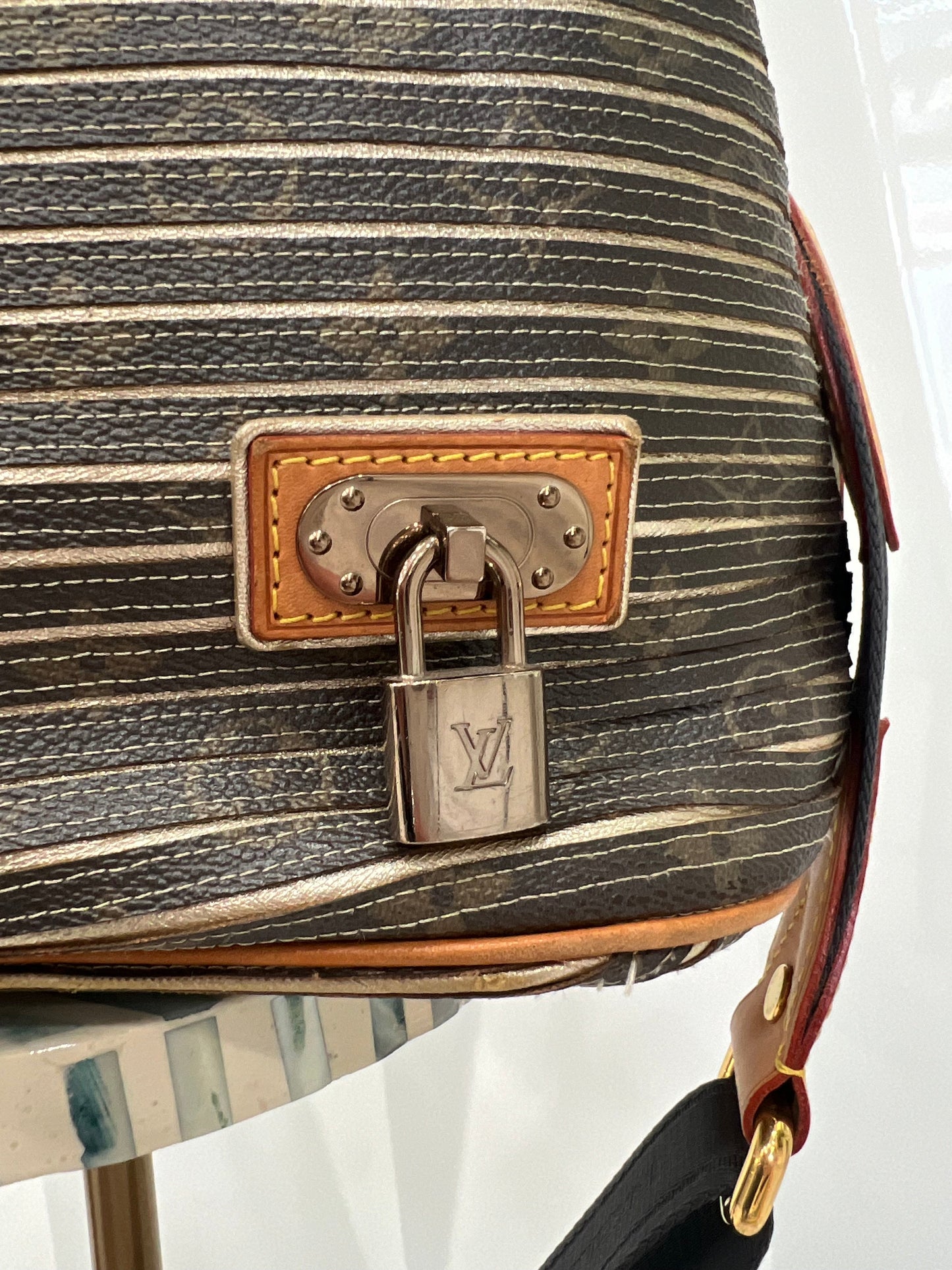 LOUIS VUITTON ARGENT MONOGRAM CANVAS-LEATHER LIMITED EDITION EDEN NEO BAG