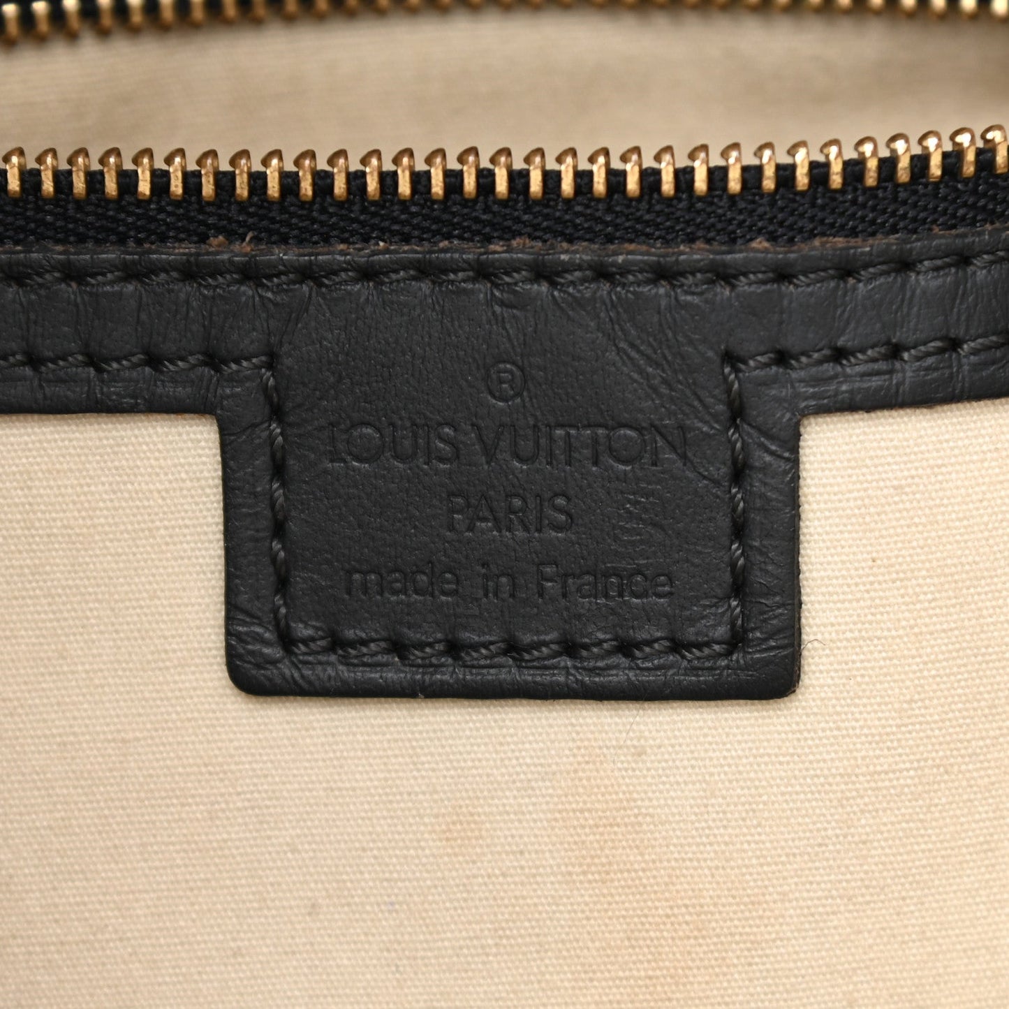 LOUIS VUITTON MONOGRAM MINI FRANCOISE SHOULDER BAG