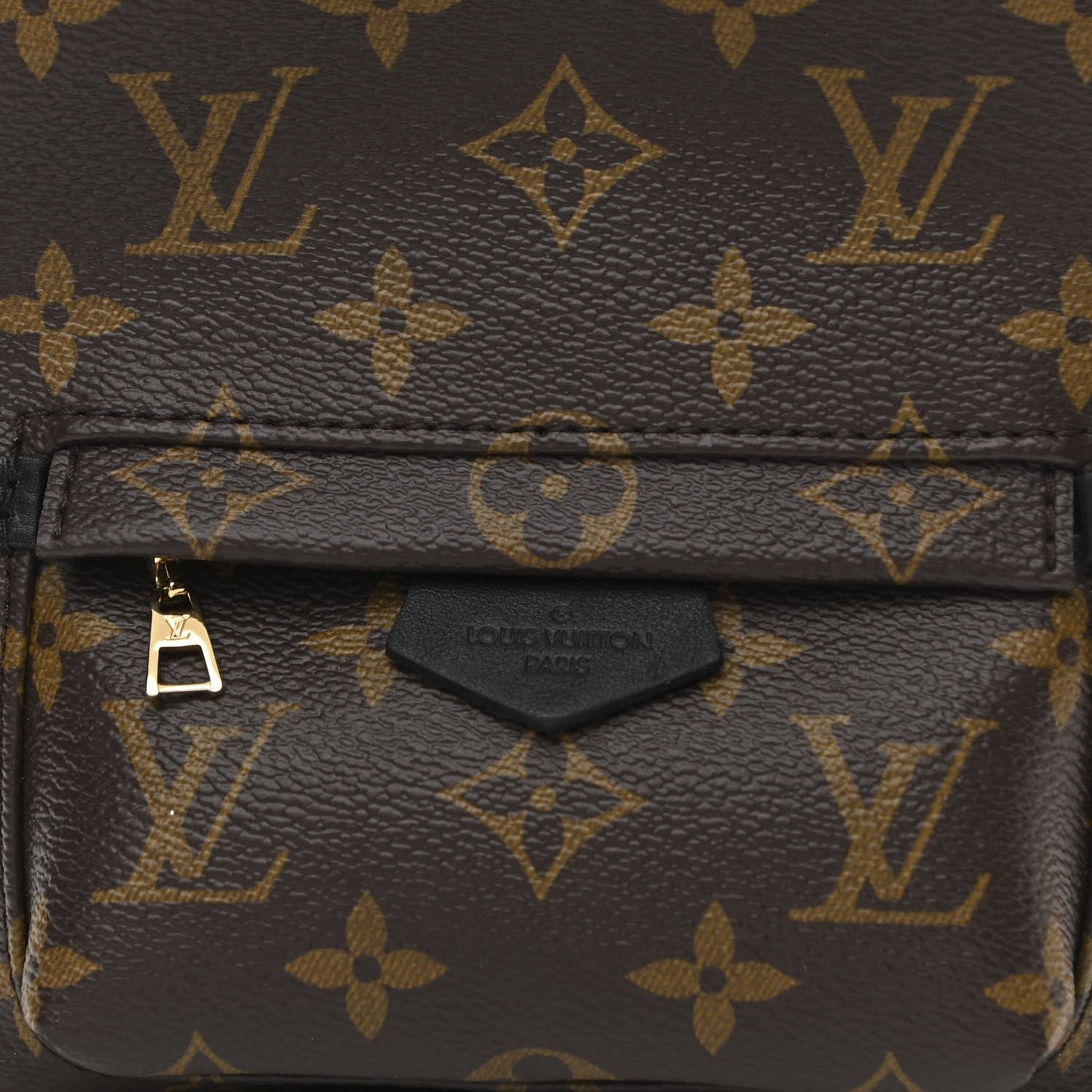 LOUIS VUITTON MONOGRAM PALM SPRINGS MINI BACKPACK