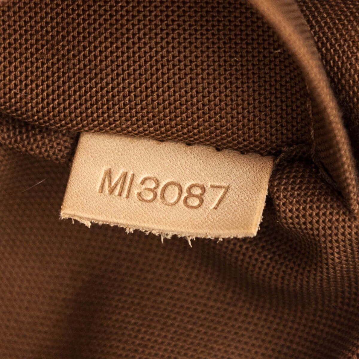 Louis Vuitton Monogram Palermo GM