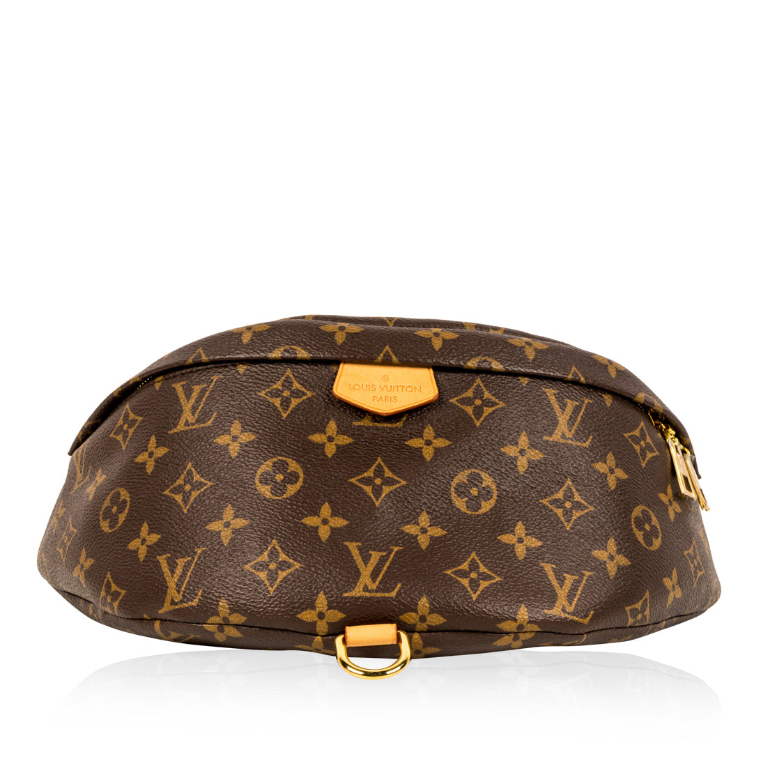 Louis Vuitton Bumbag - Monogram Canvas