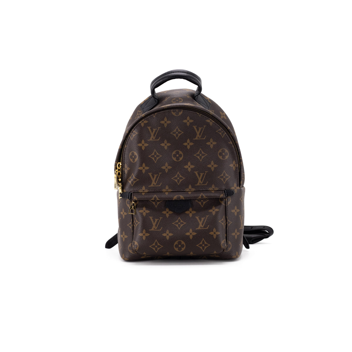 Louis Vuitton Palm Spring PM