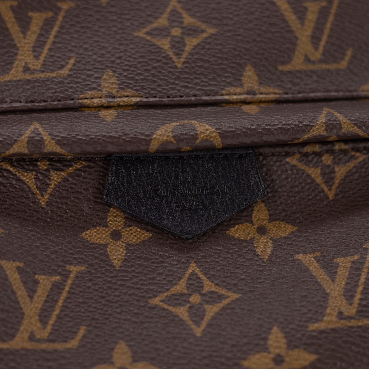 Louis Vuitton Palm Spring PM