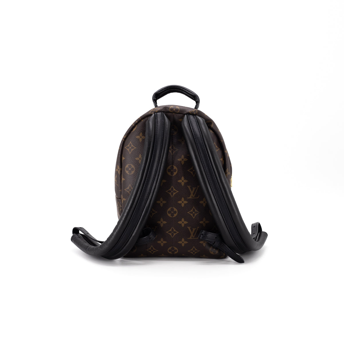 Louis Vuitton Palm Spring PM