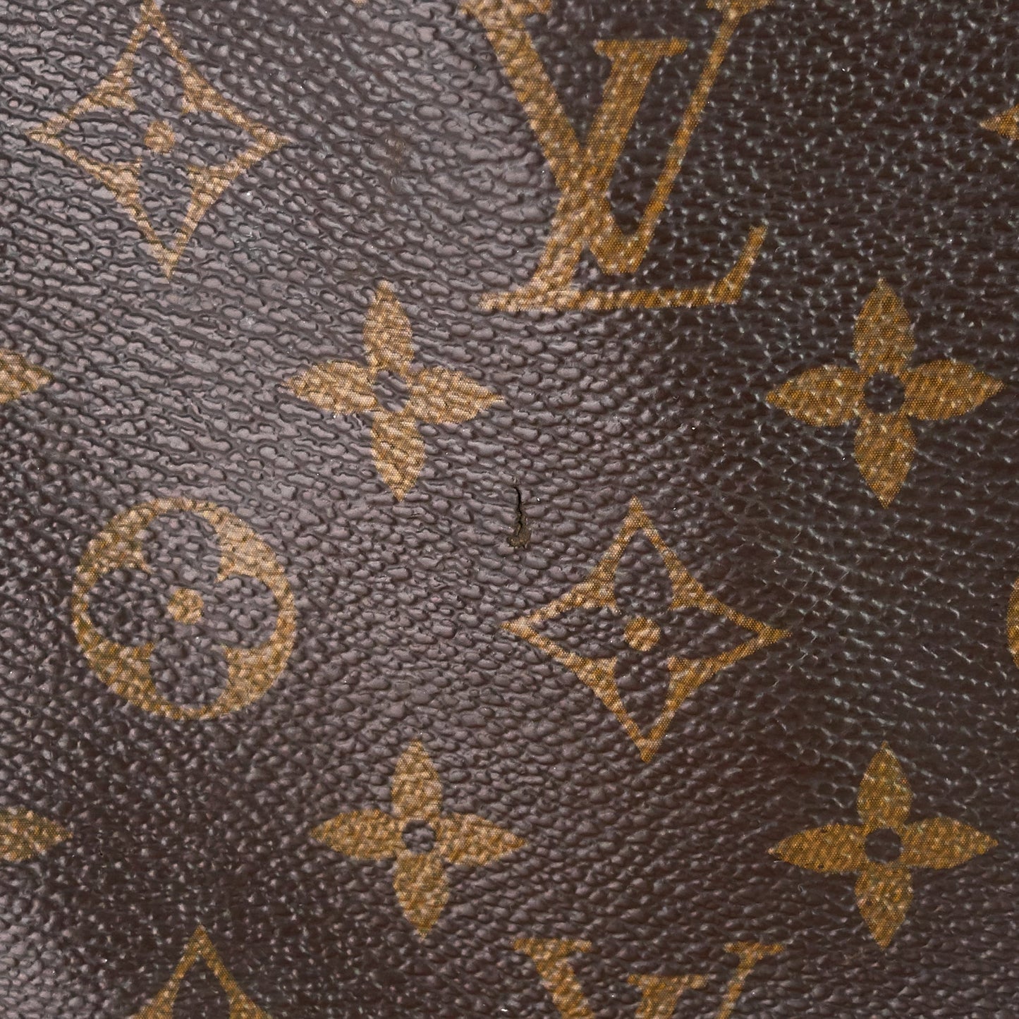 Louis Vuitto Delightful MM Monogram Canvas Bag