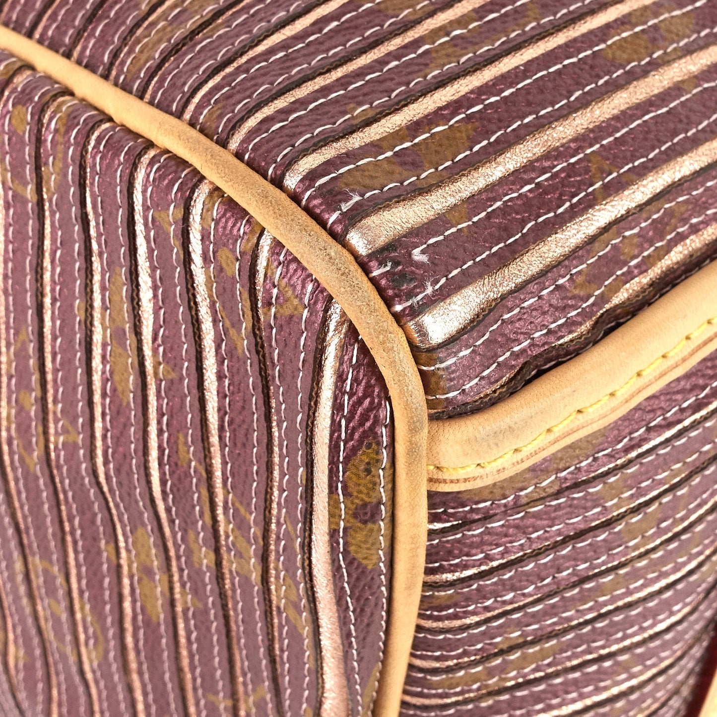 Louis Vuitto Eden Speedy BandouliÃ¨re 30 Canvas Handbag