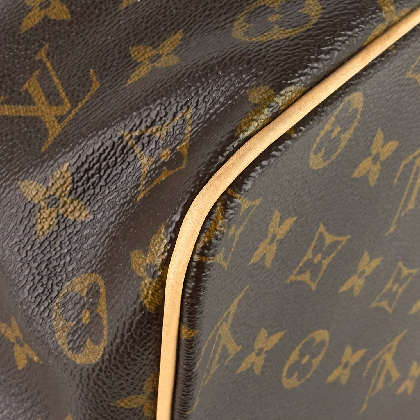 Louis Vuitto Palermo GM Monogram Canvas Bag