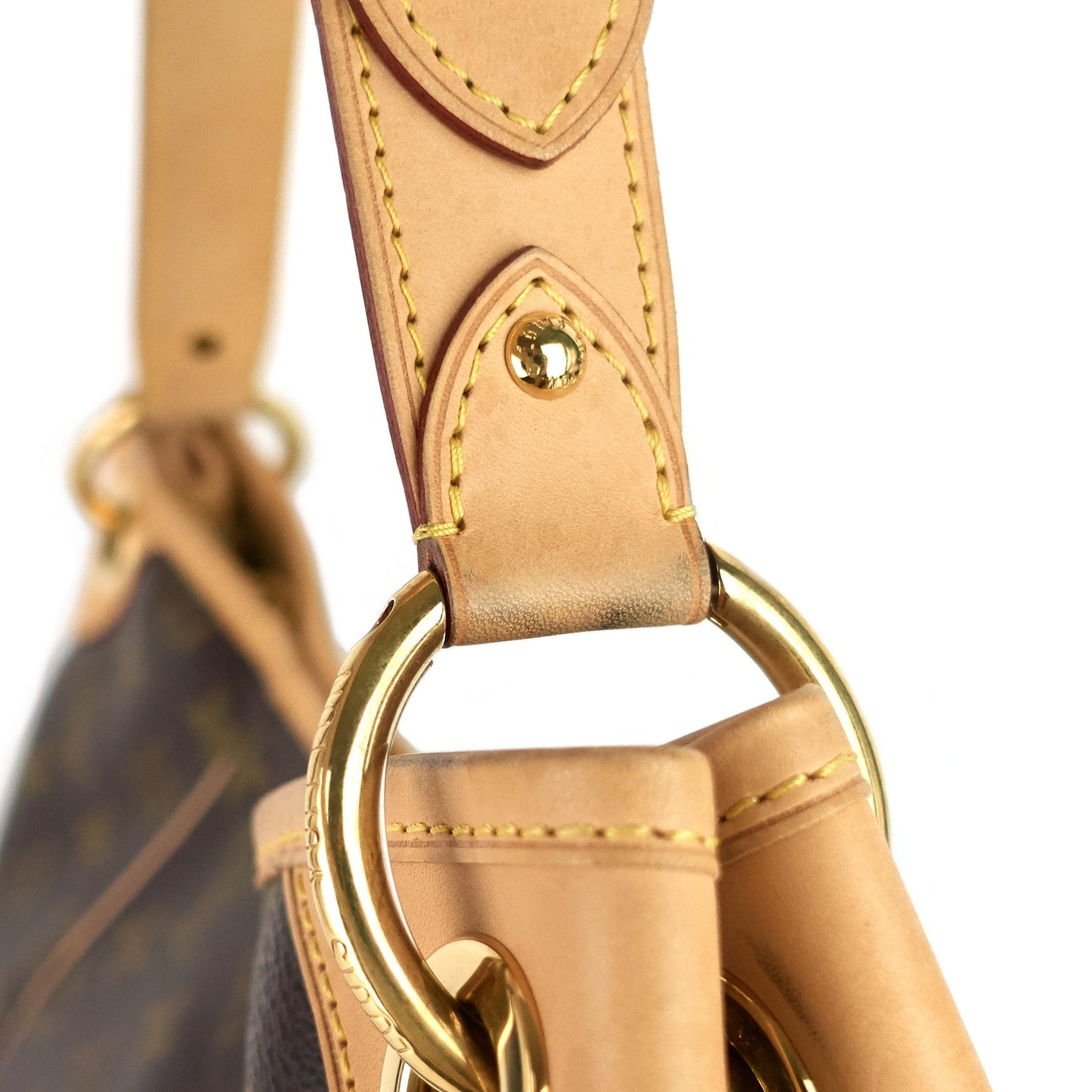 Louis Vuitto Galliera PM Monogram Canvas Bag
