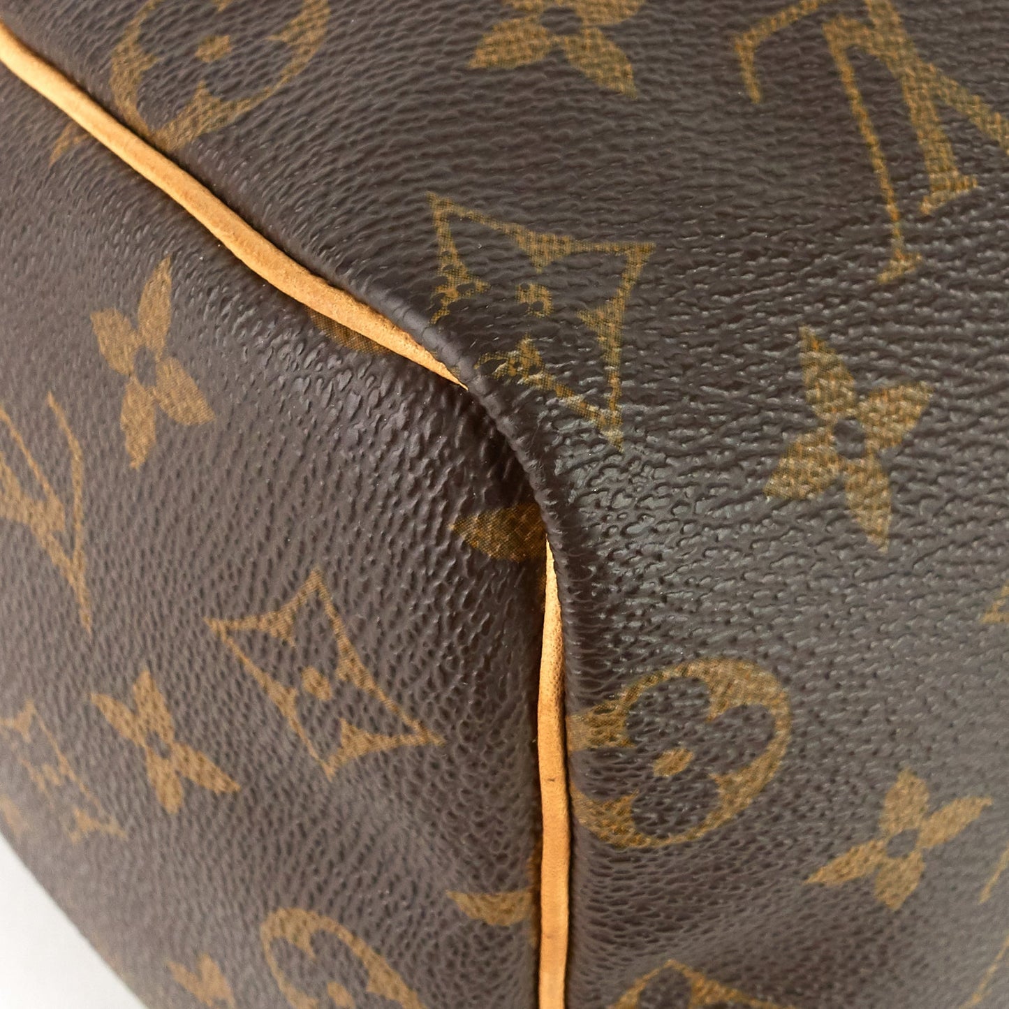 Louis Vuitto Speedy 25 Monogram Canvas Bag