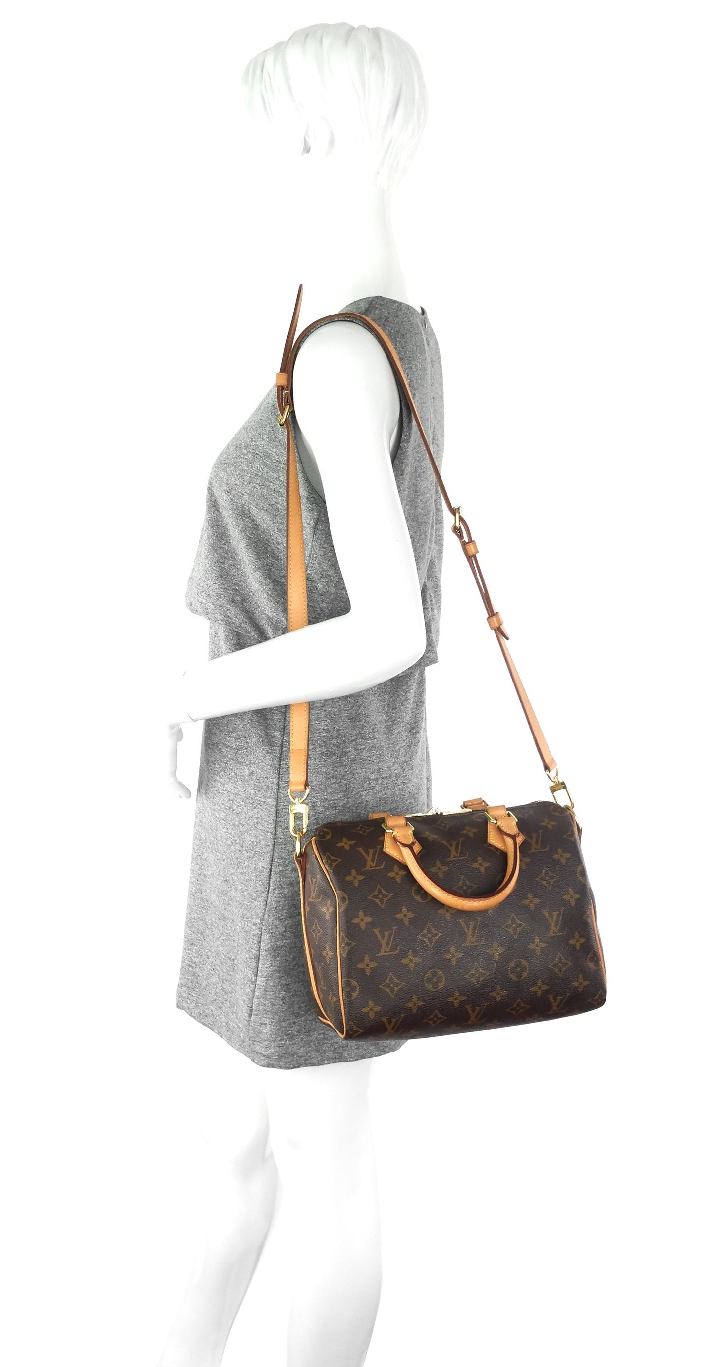 Louis Vuitto Speedy BandouliÃ¨re 25 Monogram Canvas Bag
