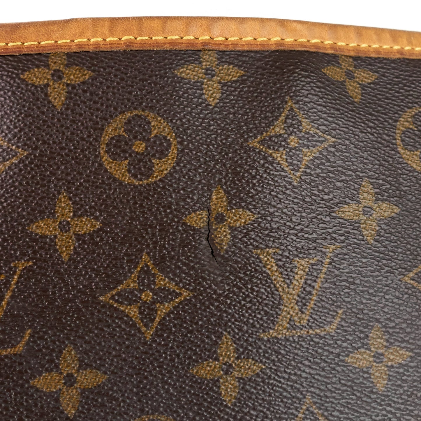 Louis Vuitto Delightful MM Monogram Canvas Bag