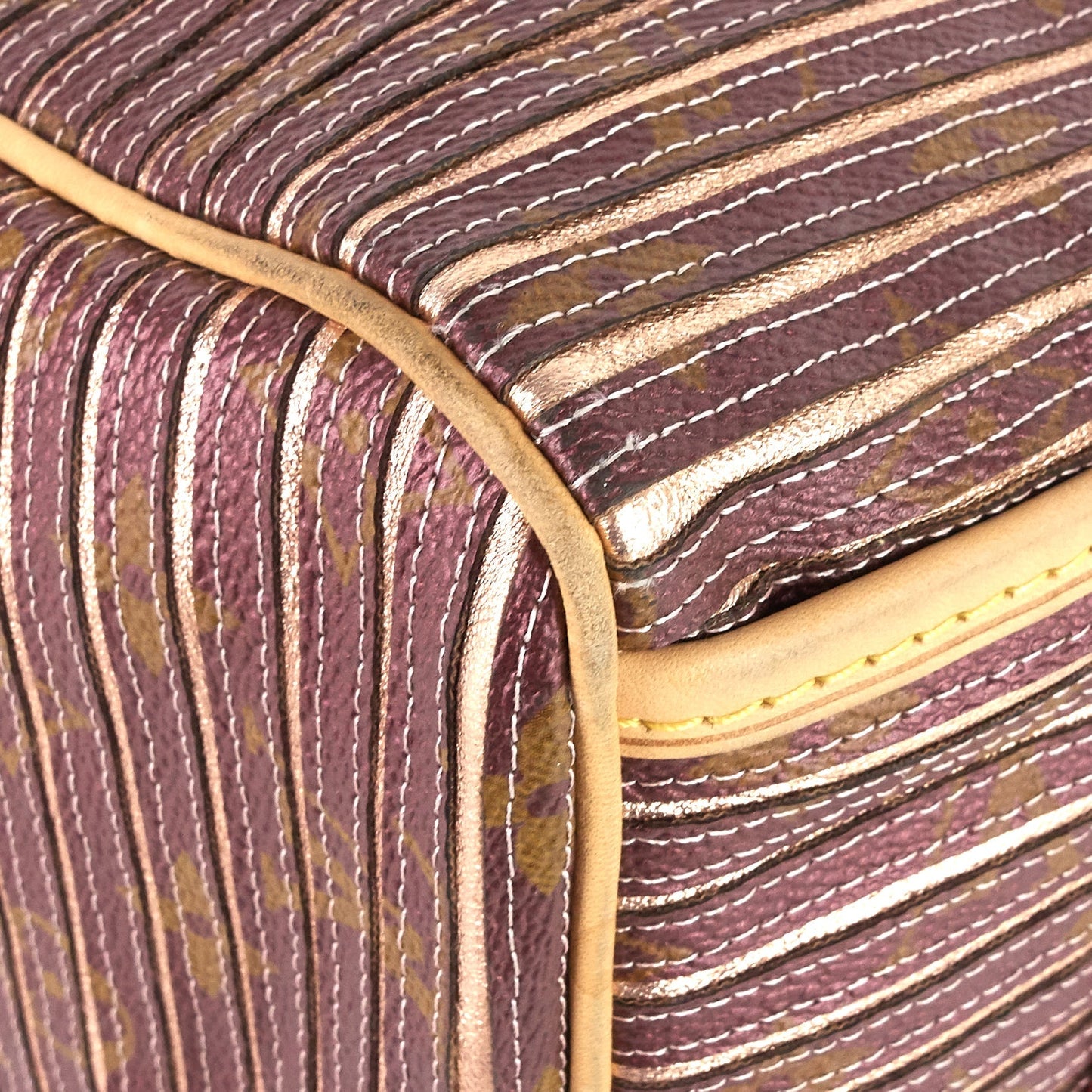 Louis Vuitto Eden Speedy BandouliÃ¨re 30 Canvas Handbag