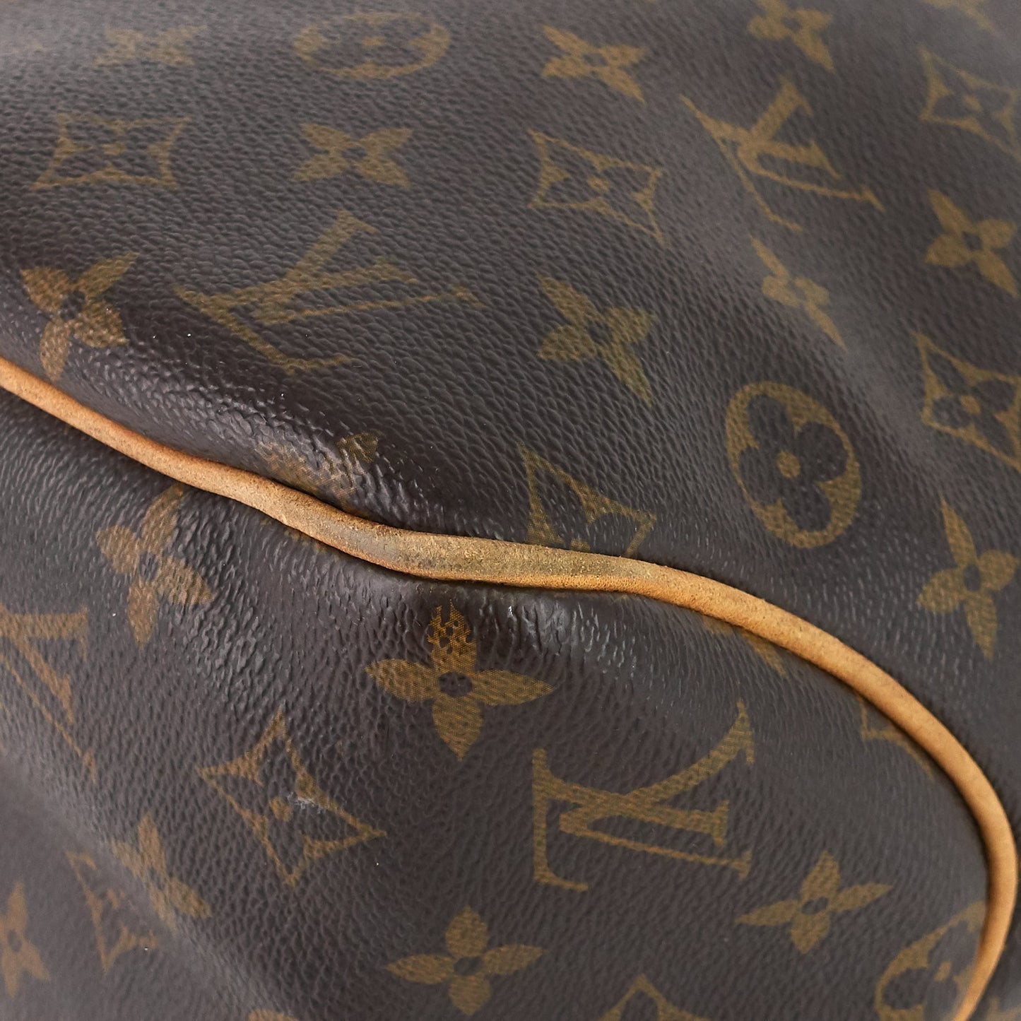 Louis Vuitto Delightful MM Monogram Canvas Bag