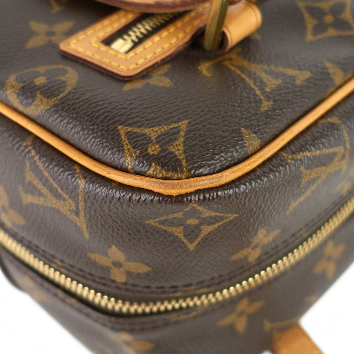 Louis Vuitto Cite MM Monogram Canvas Bag