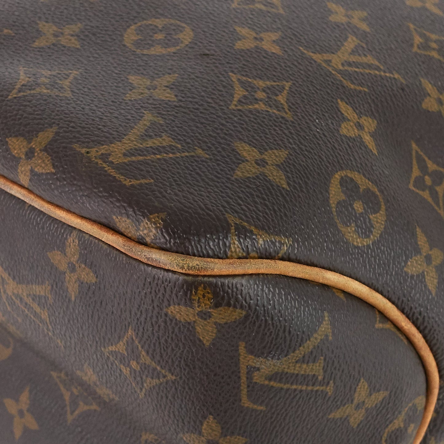 Louis Vuitto Delightful MM Monogram Canvas Bag