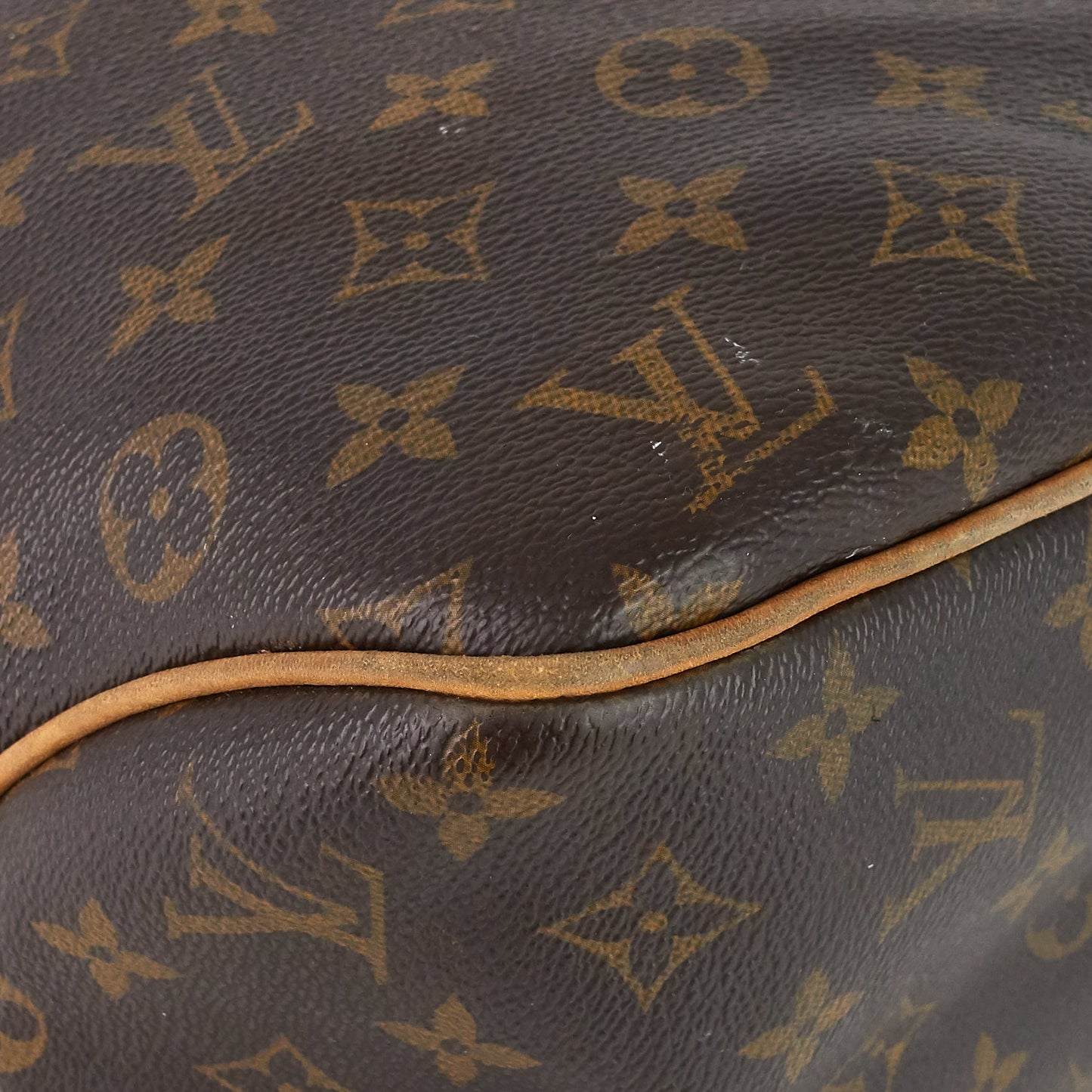 Louis Vuitto Delightful MM Monogram Canvas Bag
