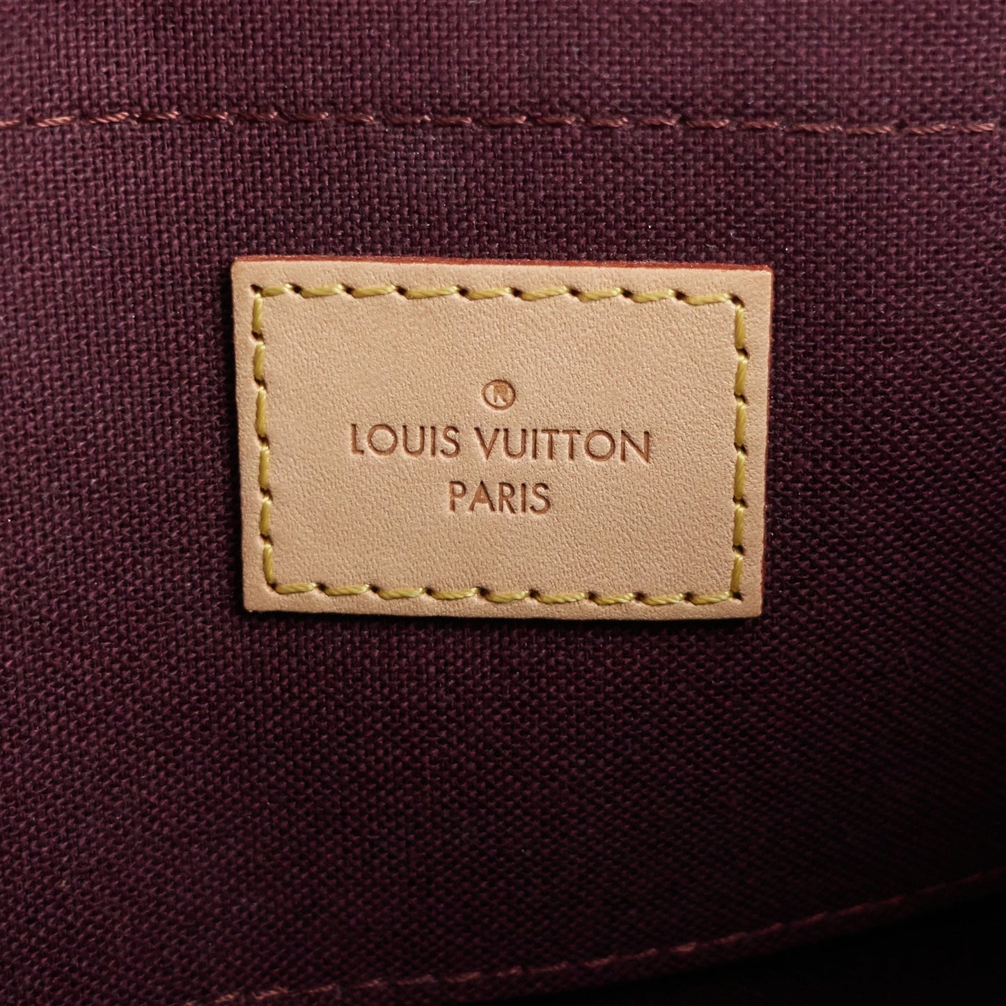 Louis Vuitto Favorite MM Monogram Canvas Bag