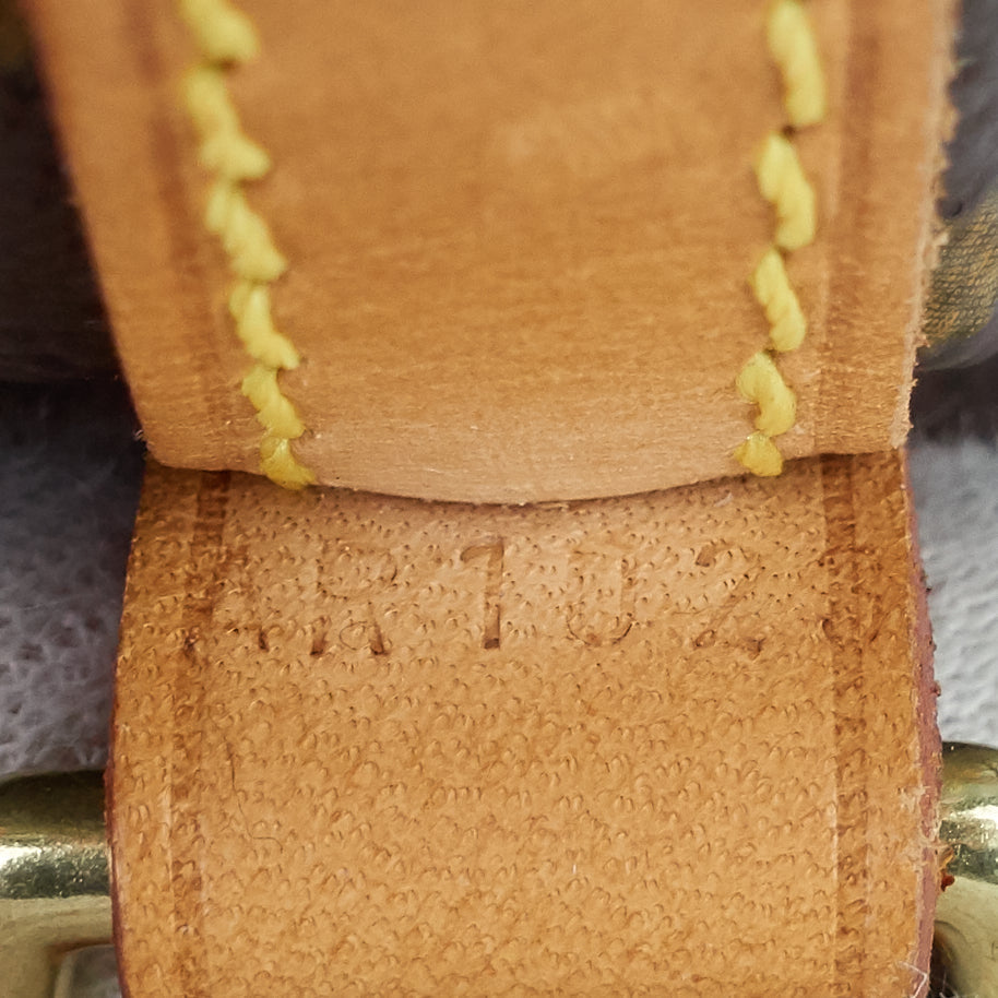 Louis Vuitto Noe Mini Monogram Canvas Bag
