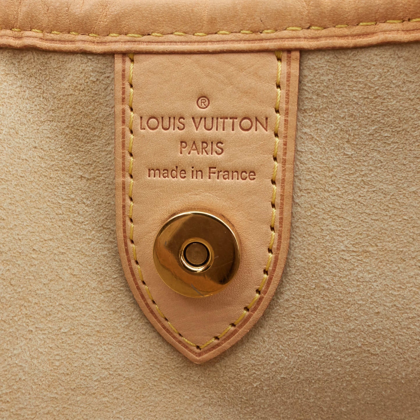 Louis Vuitto Galliera PM Monogram Canvas Bag