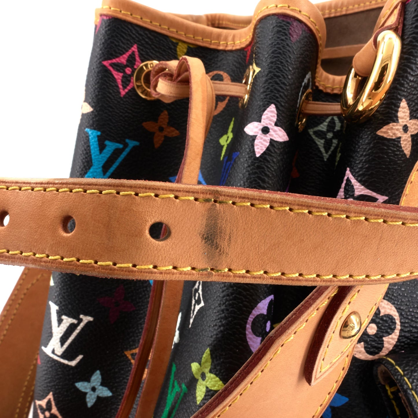 Louis Vuitto Petit Noe Multicolore Canvas Bag