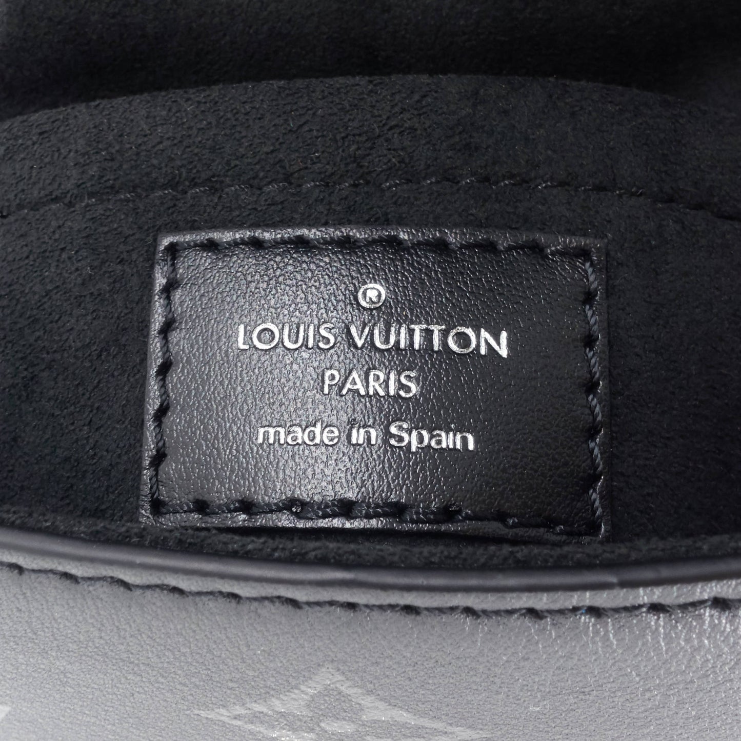 Louis Vuitto Monogram Calfskin Camera Box Bag