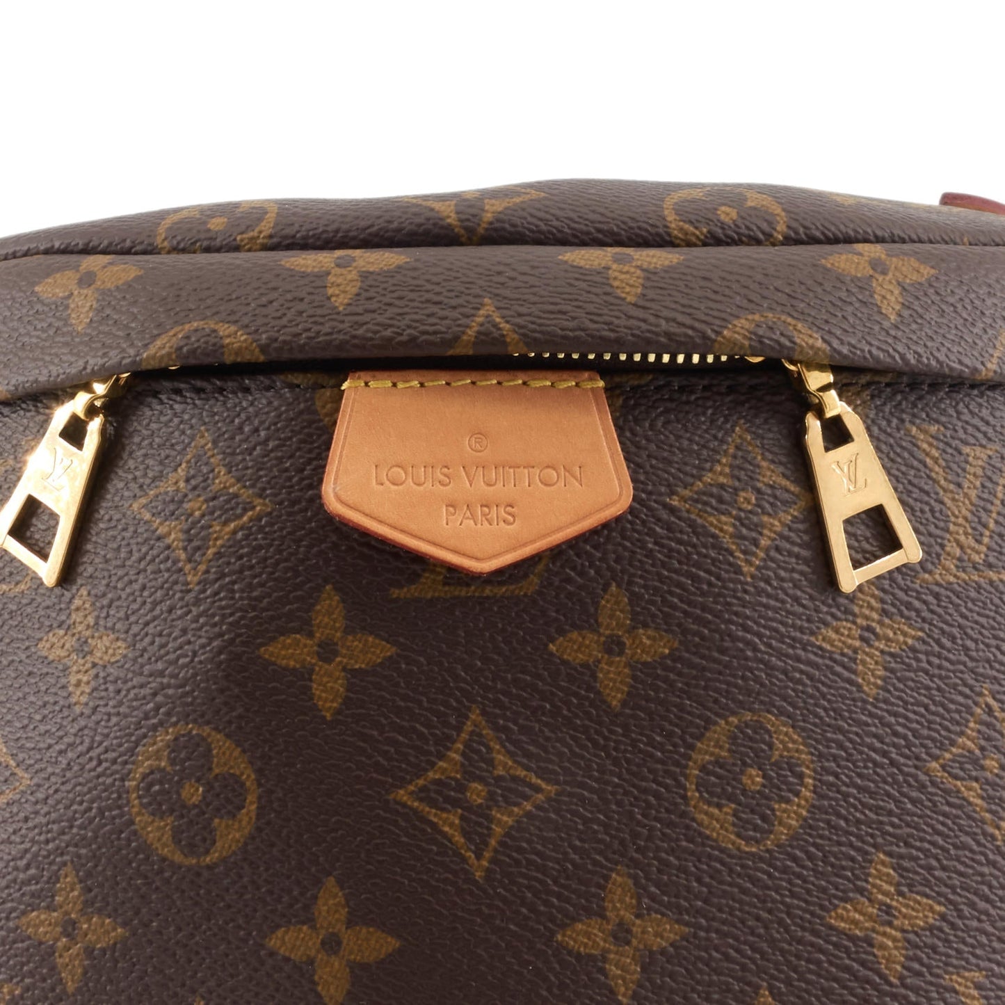 Louis Vuitto Monogram Canvas Bum Bag