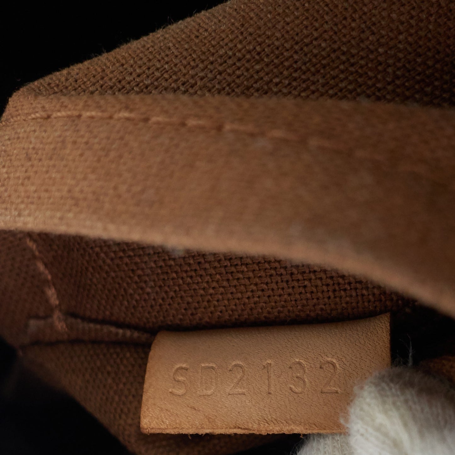 Louis Vuitto Sully PM Monogram Canvas Bag
