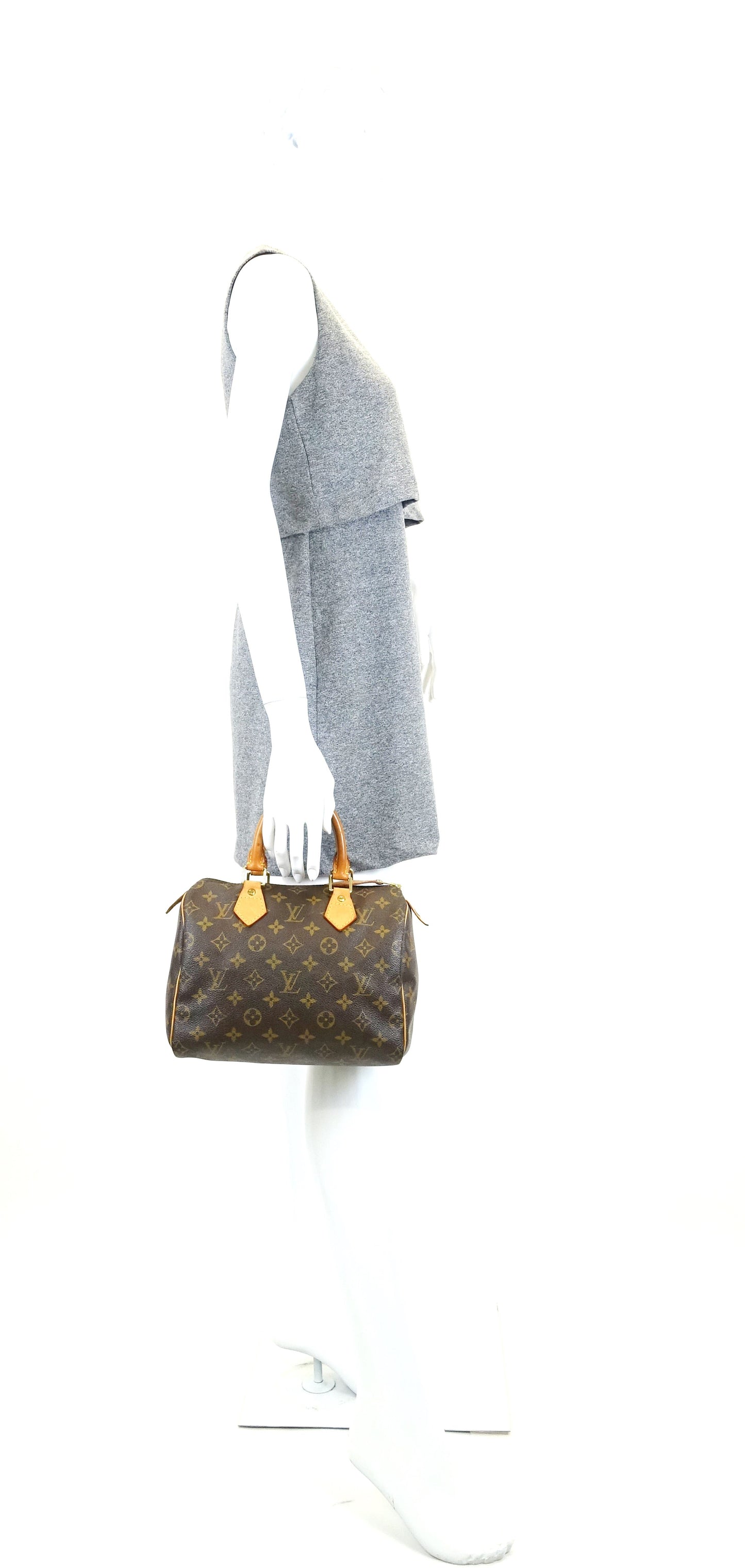 Louis Vuitto Speedy 25 Monogram Canvas Handbag