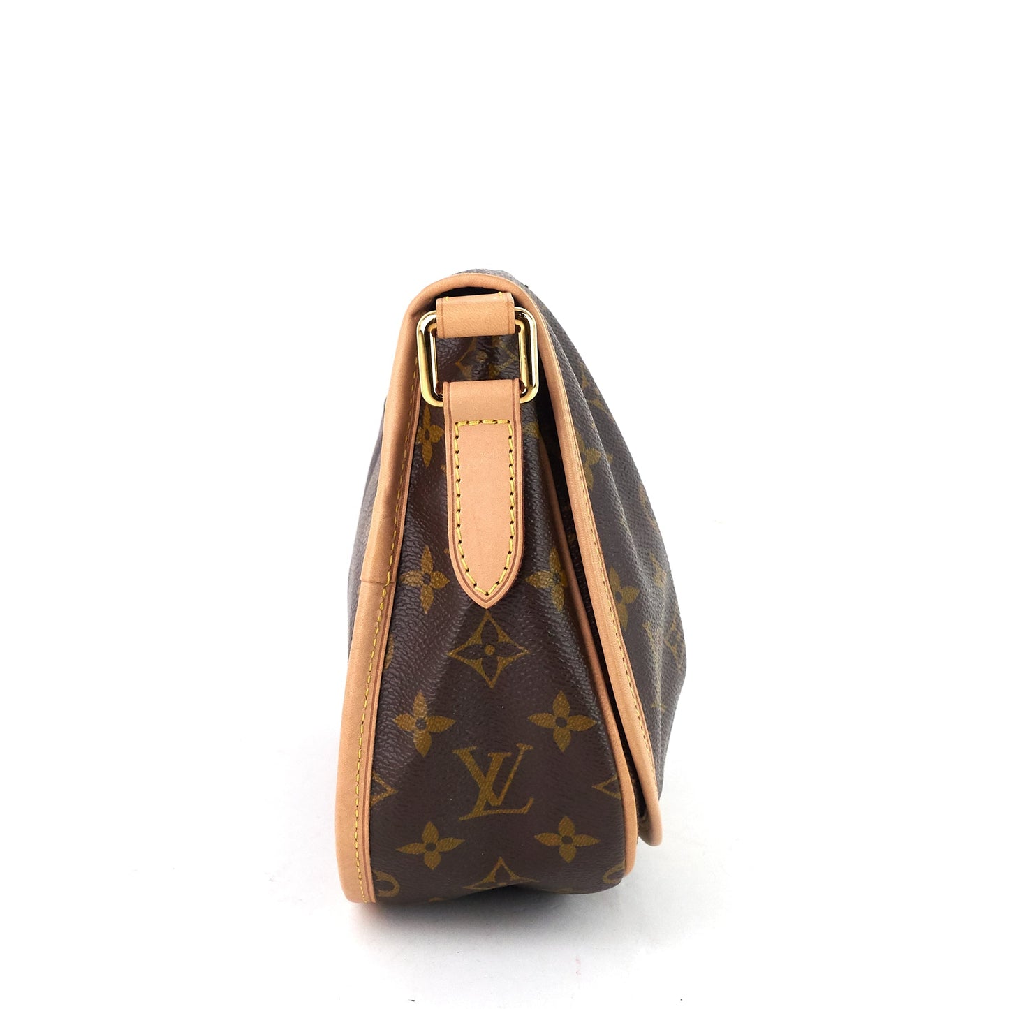 Louis Vuitto Menilmontant PM Monogram Canvas Bag