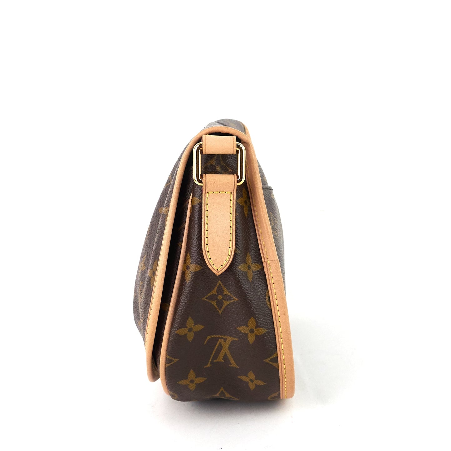 Louis Vuitto Menilmontant PM Monogram Canvas Bag